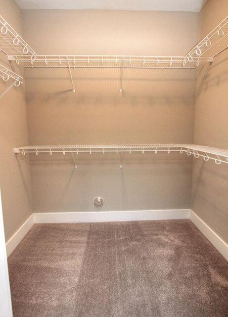 8133 Double Eagle Court Property Photo 6