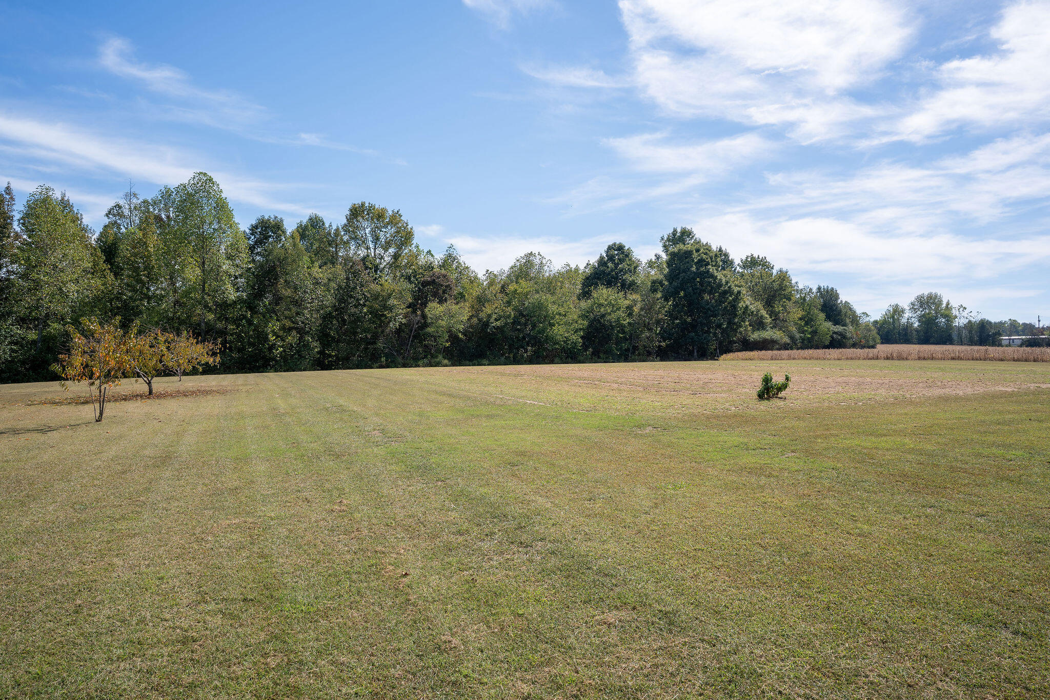 7447 County Road 155 Property Photo 8