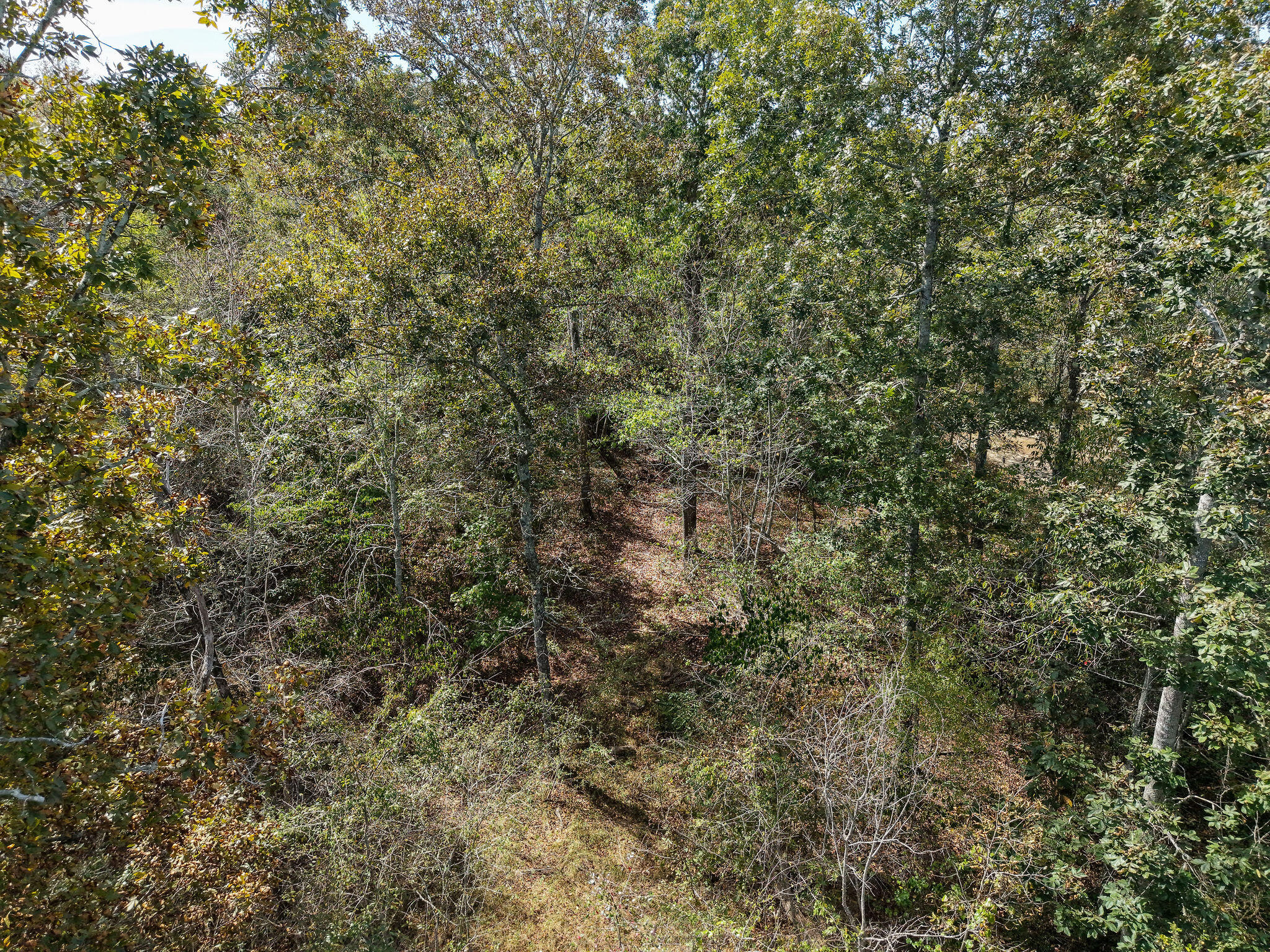 7447 County Road 155 Property Photo 46