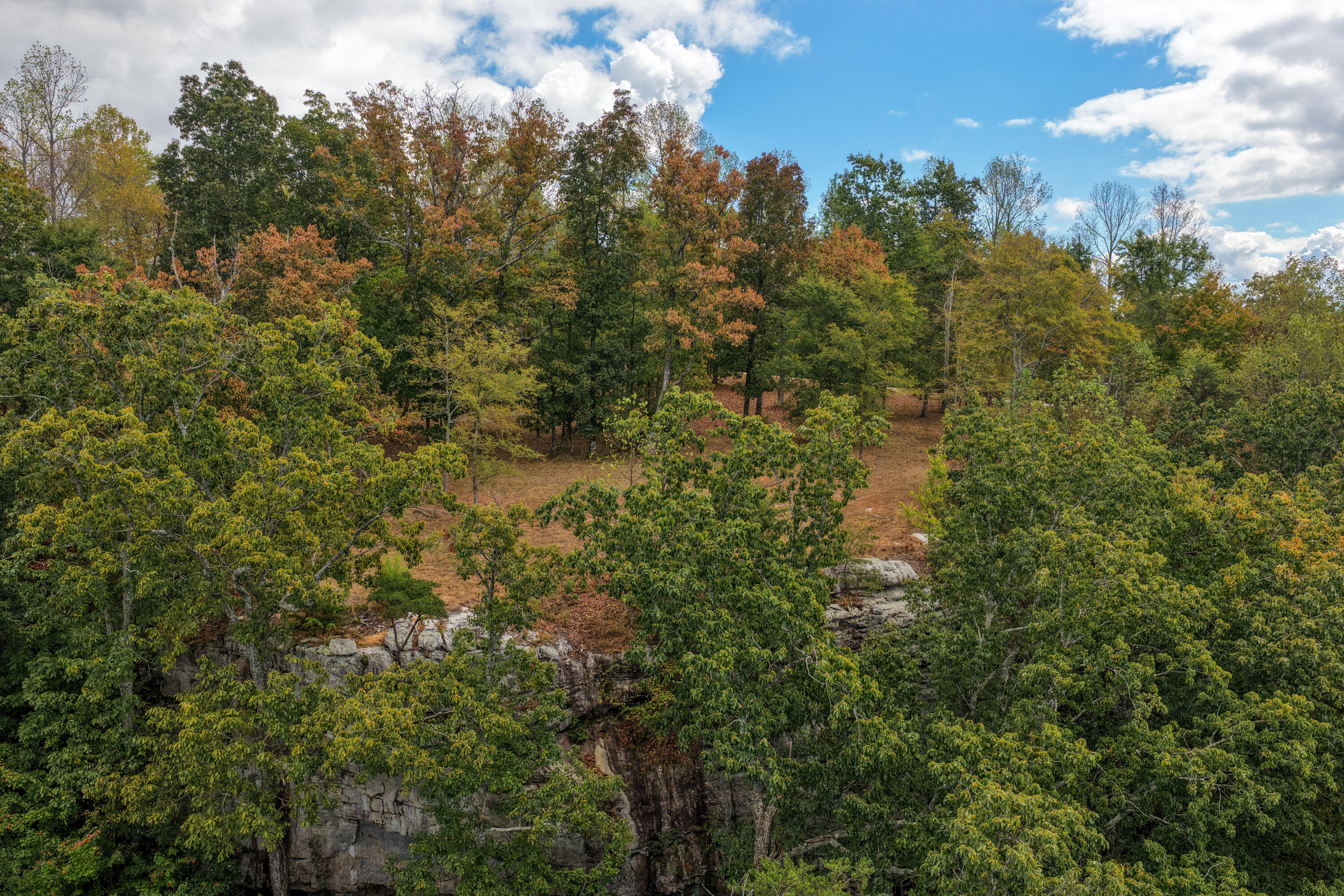 318 Sweedens Overlook Property Photo 8