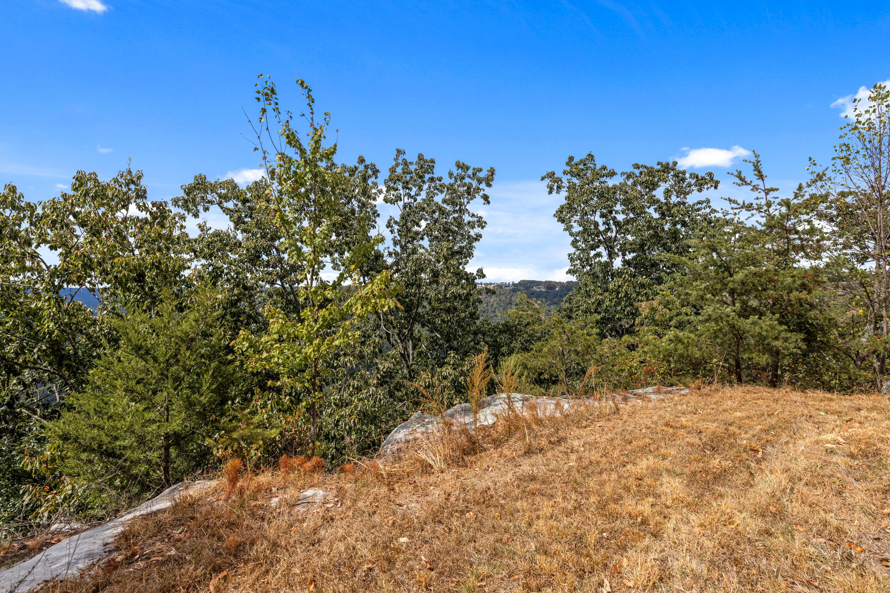 318 Sweedens Overlook Property Photo 9