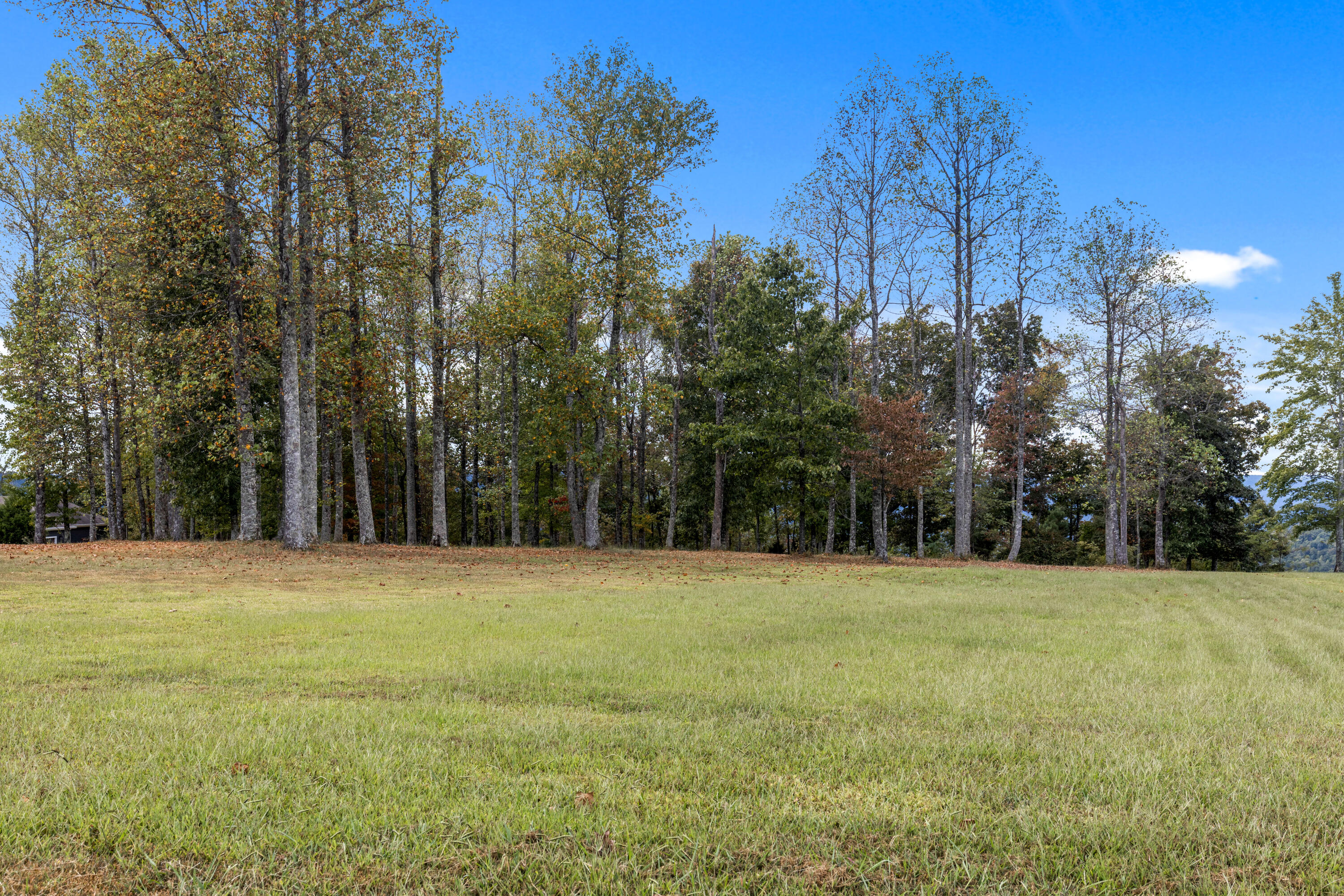 318 Sweedens Overlook Property Photo 10