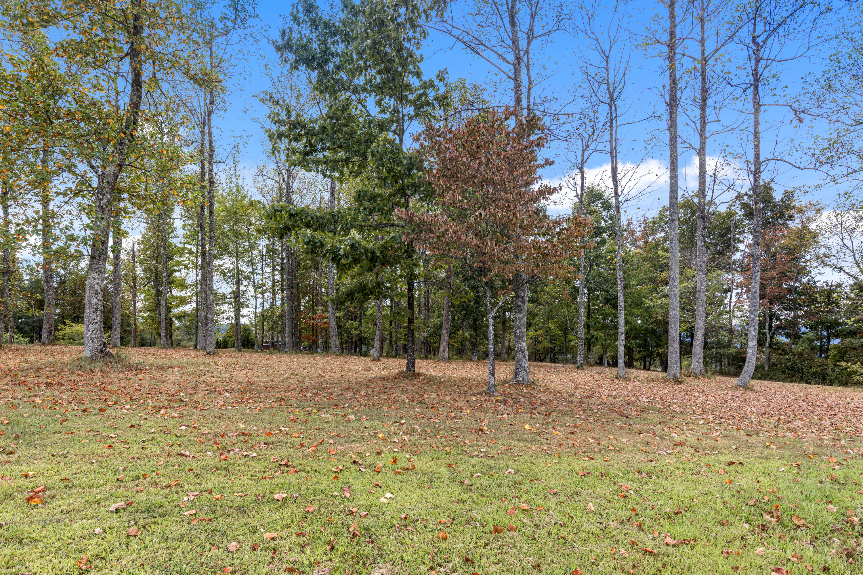 318 Sweedens Overlook Property Photo 11