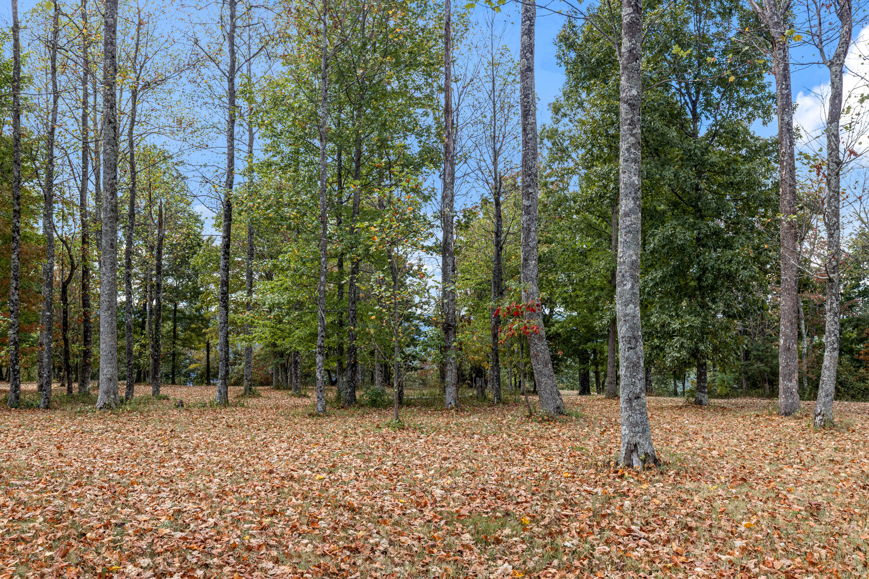 318 Sweedens Overlook Property Photo 12