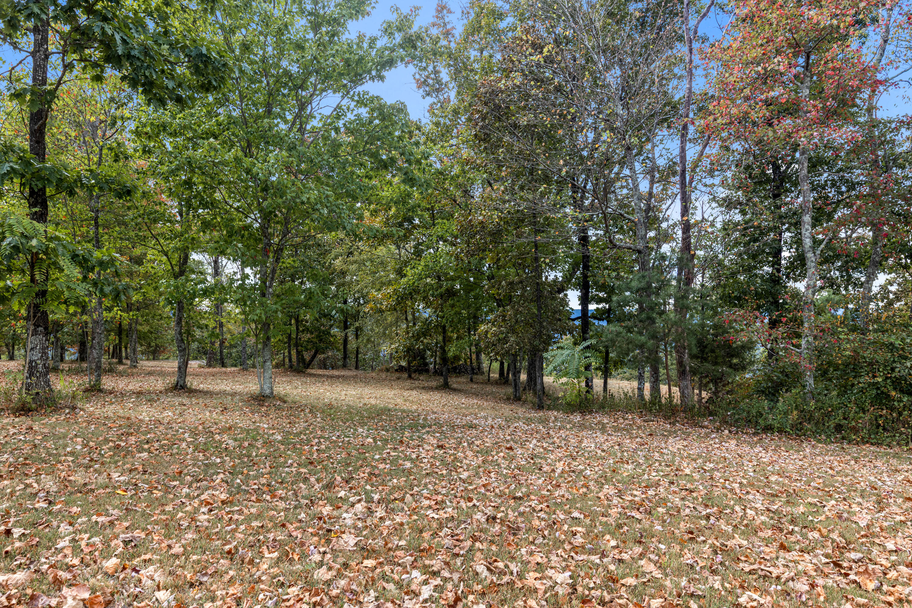 318 Sweedens Overlook Property Photo 13