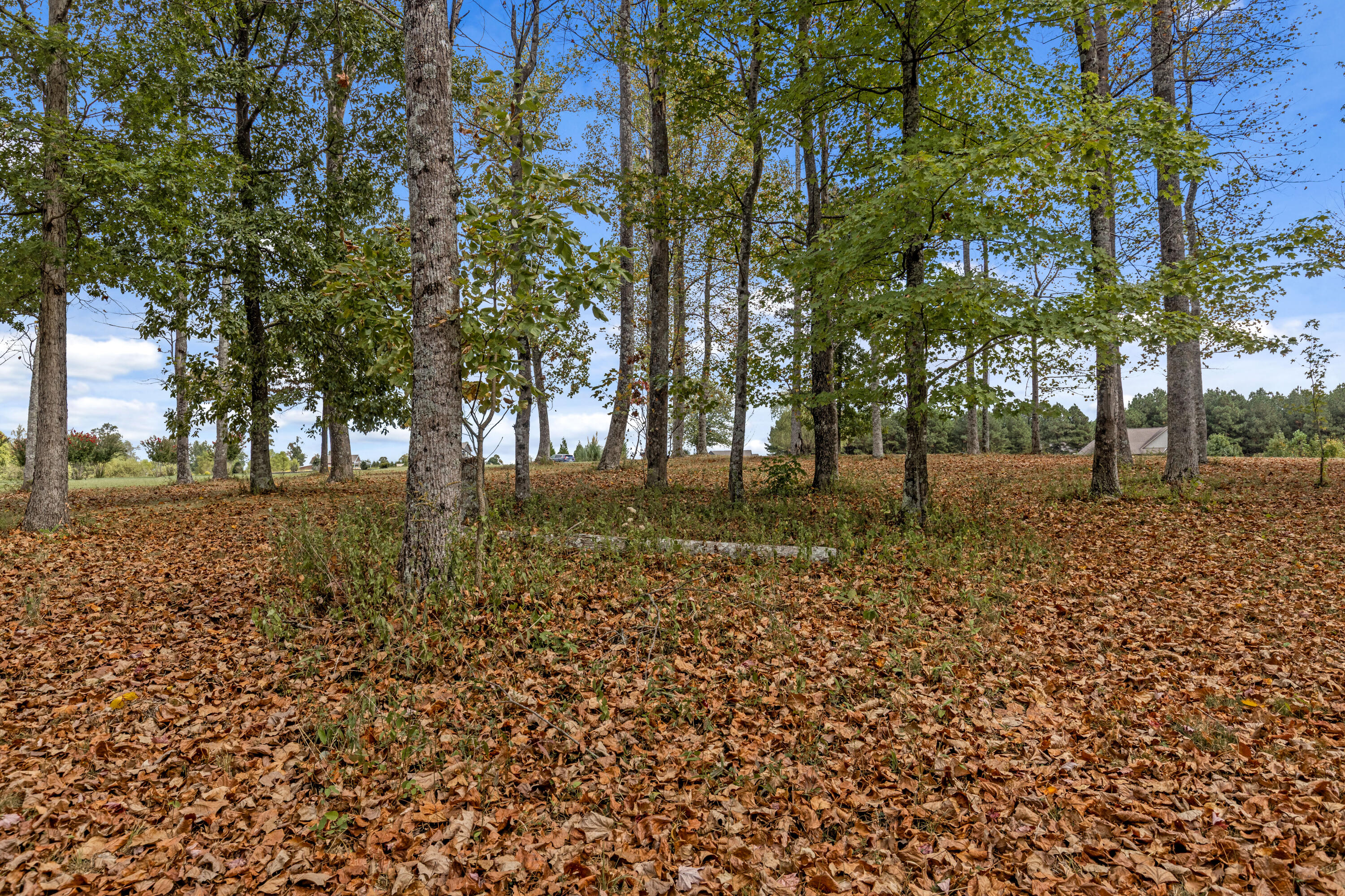 318 Sweedens Overlook Property Photo 14