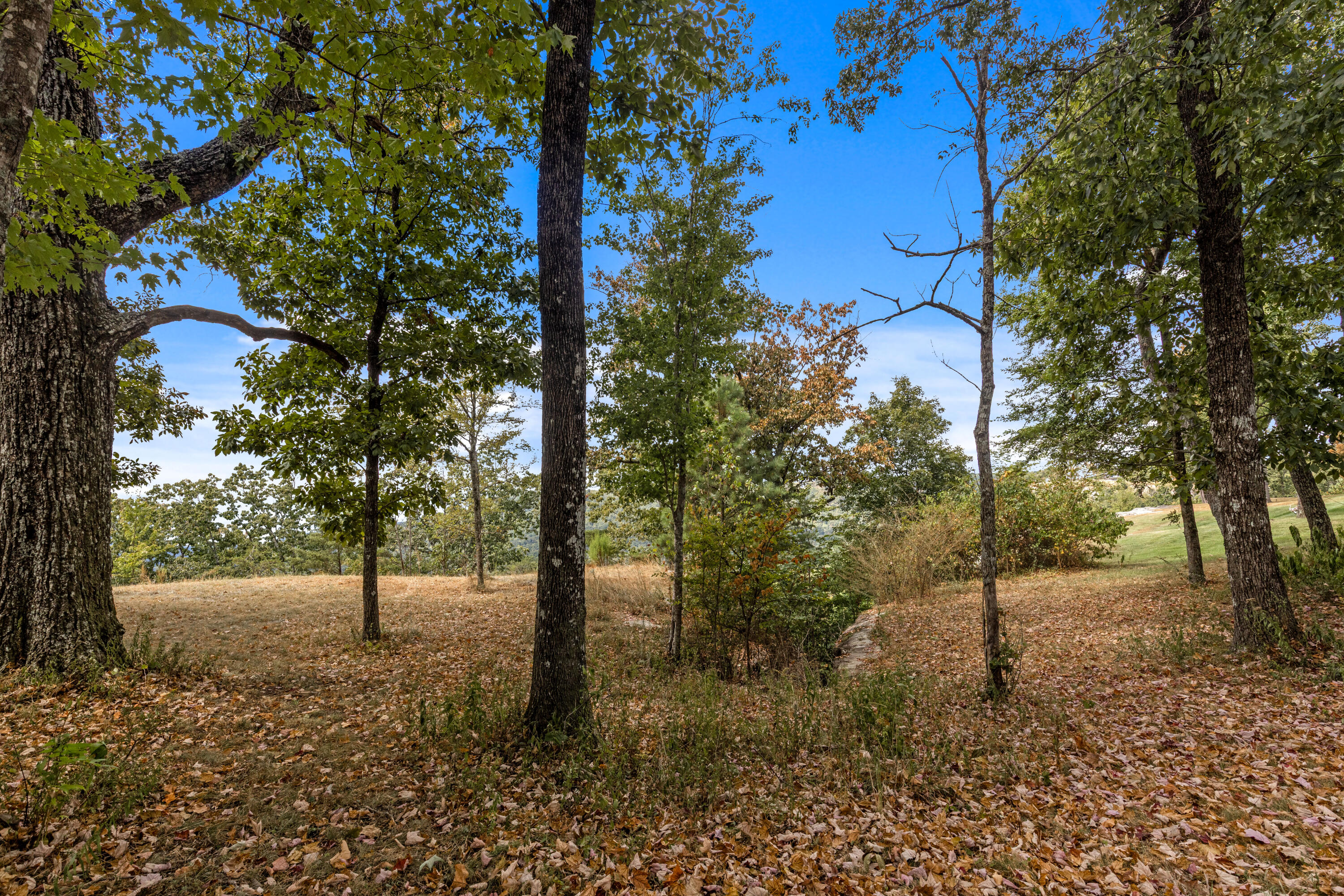 318 Sweedens Overlook Property Photo 15