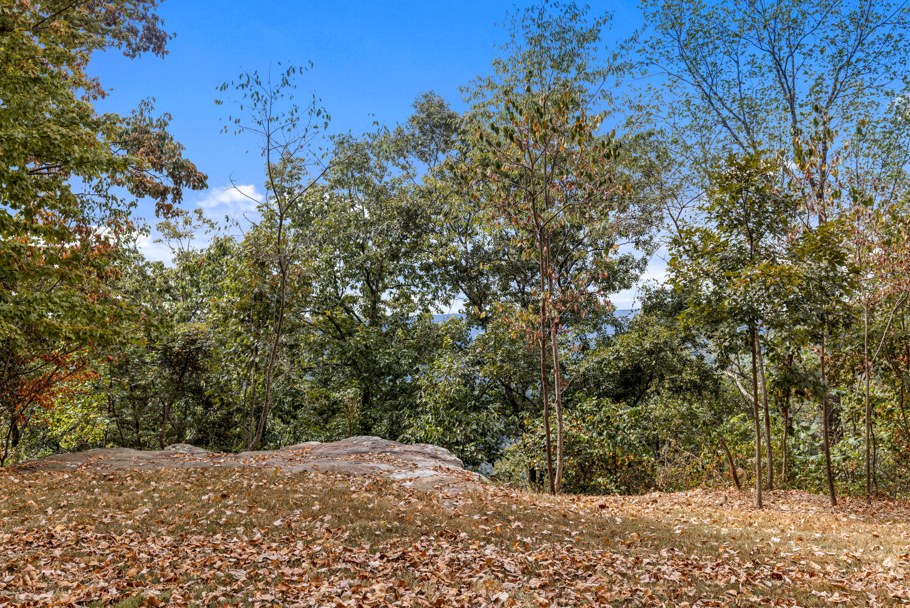 318 Sweedens Overlook Property Photo 16