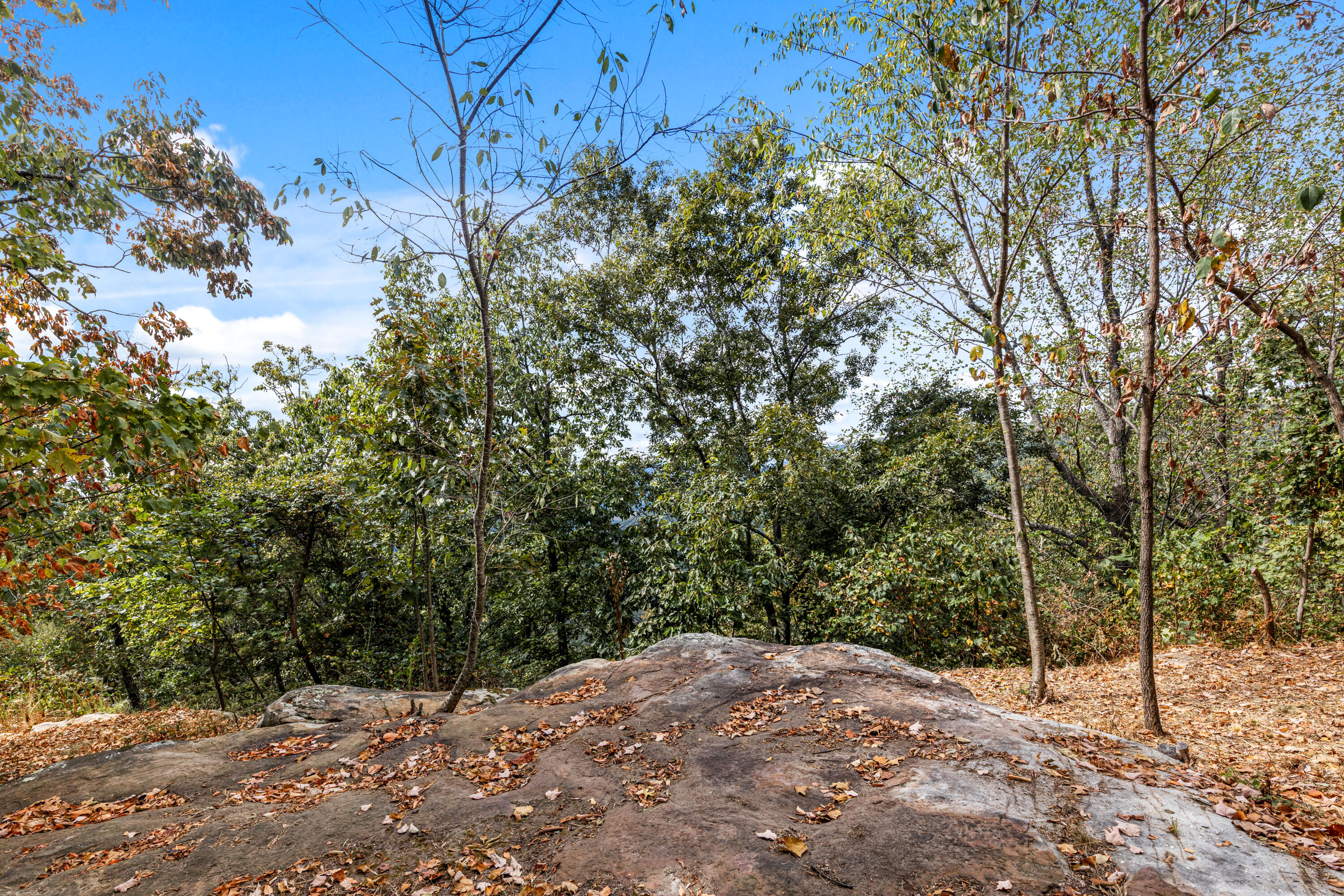 318 Sweedens Overlook Property Photo 17
