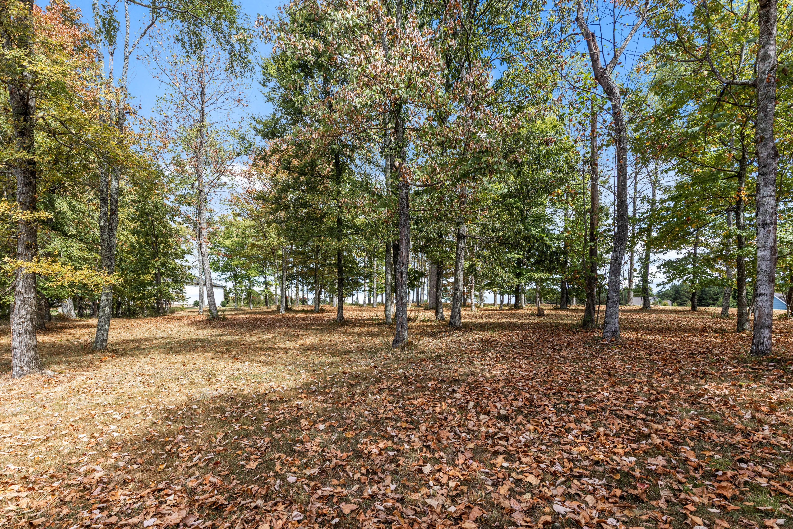 318 Sweedens Overlook Property Photo 18