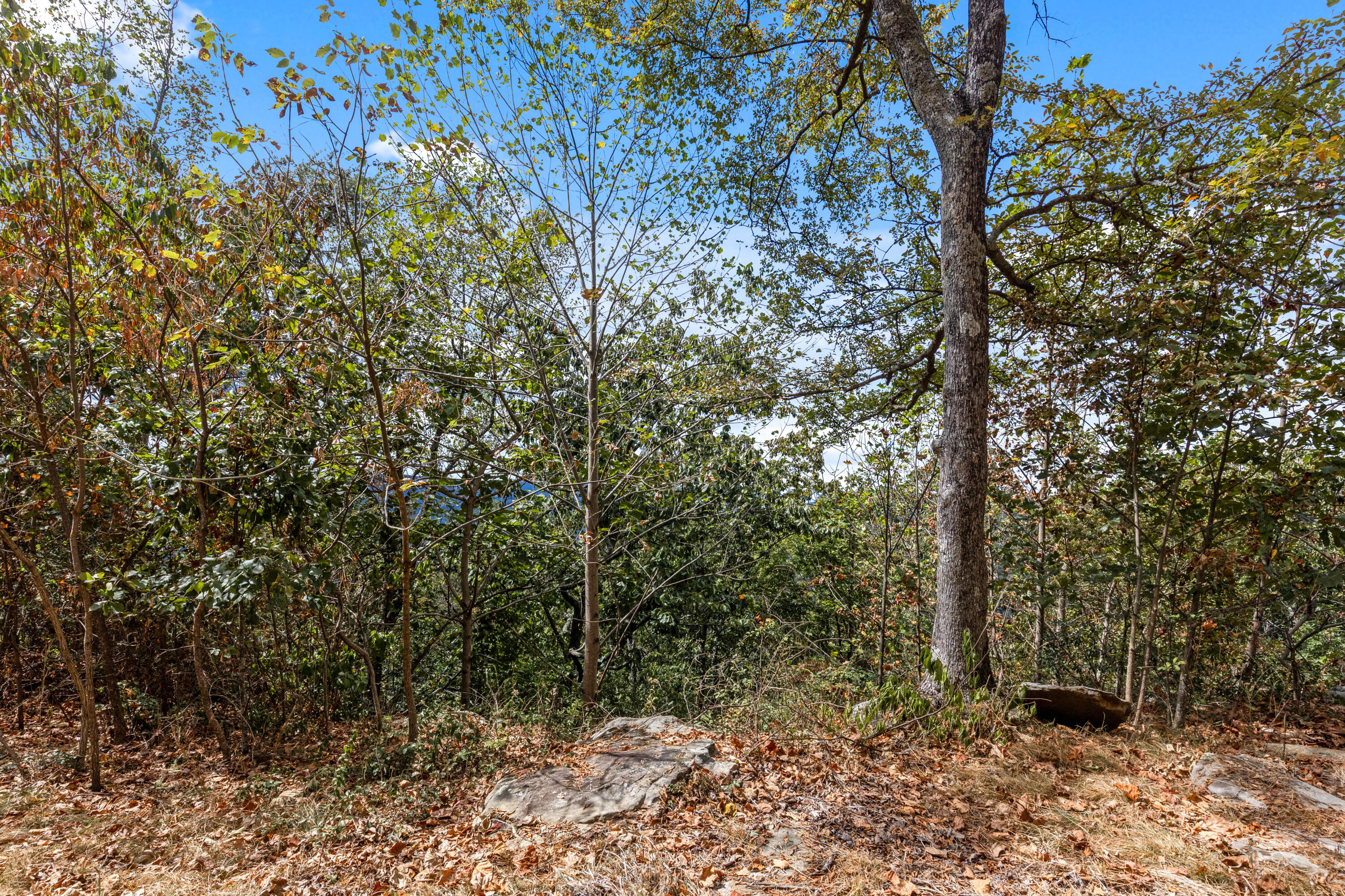 318 Sweedens Overlook Property Photo 19