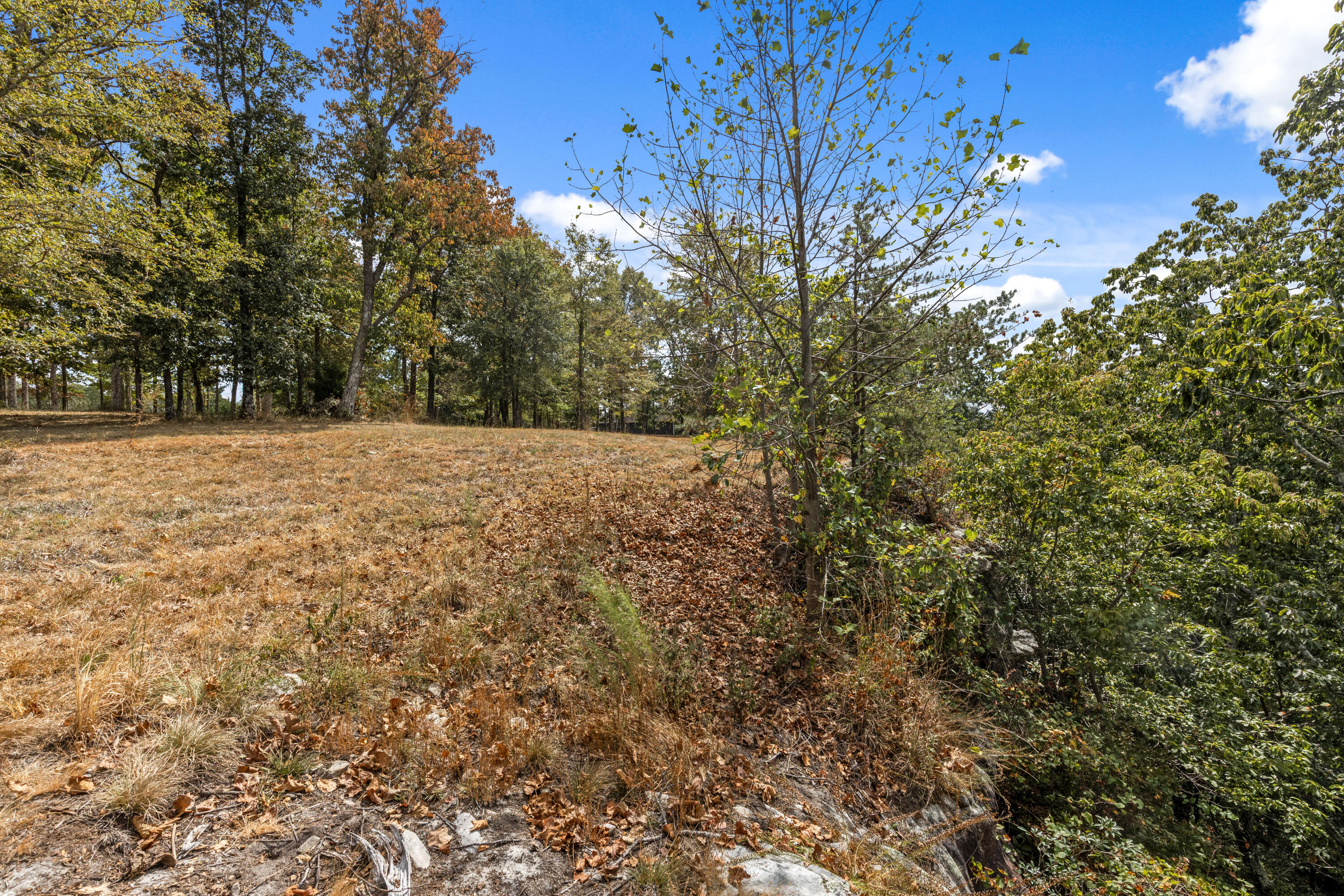 318 Sweedens Overlook Property Photo 22