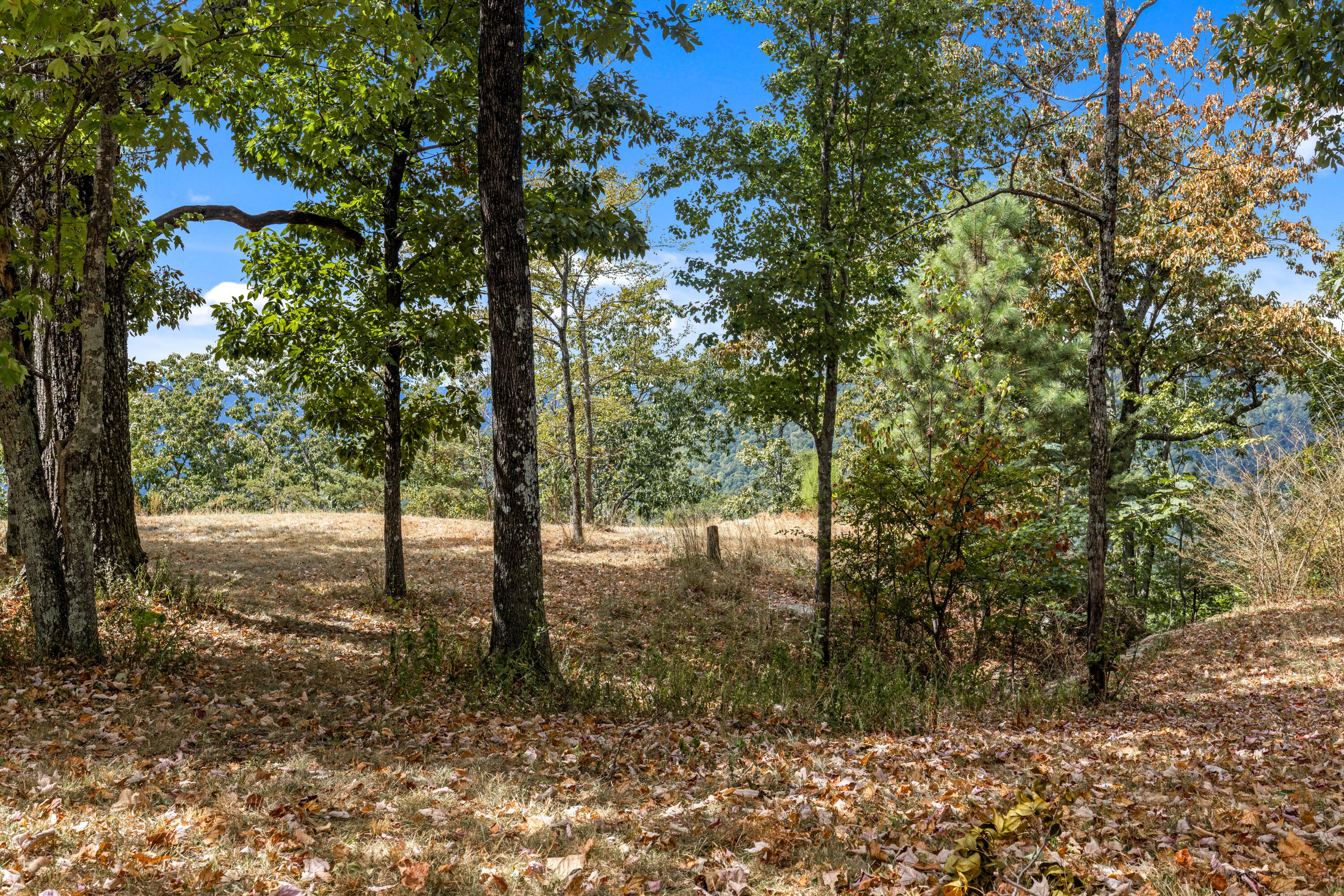 318 Sweedens Overlook Property Photo 23