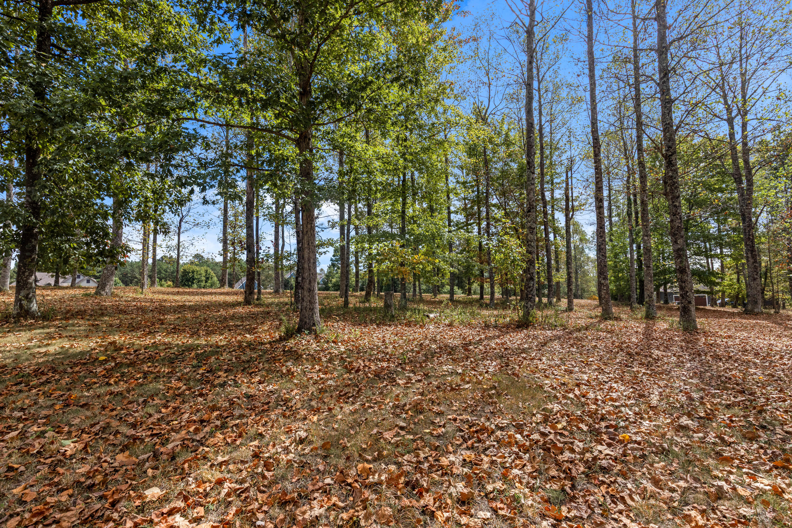318 Sweedens Overlook Property Photo 24