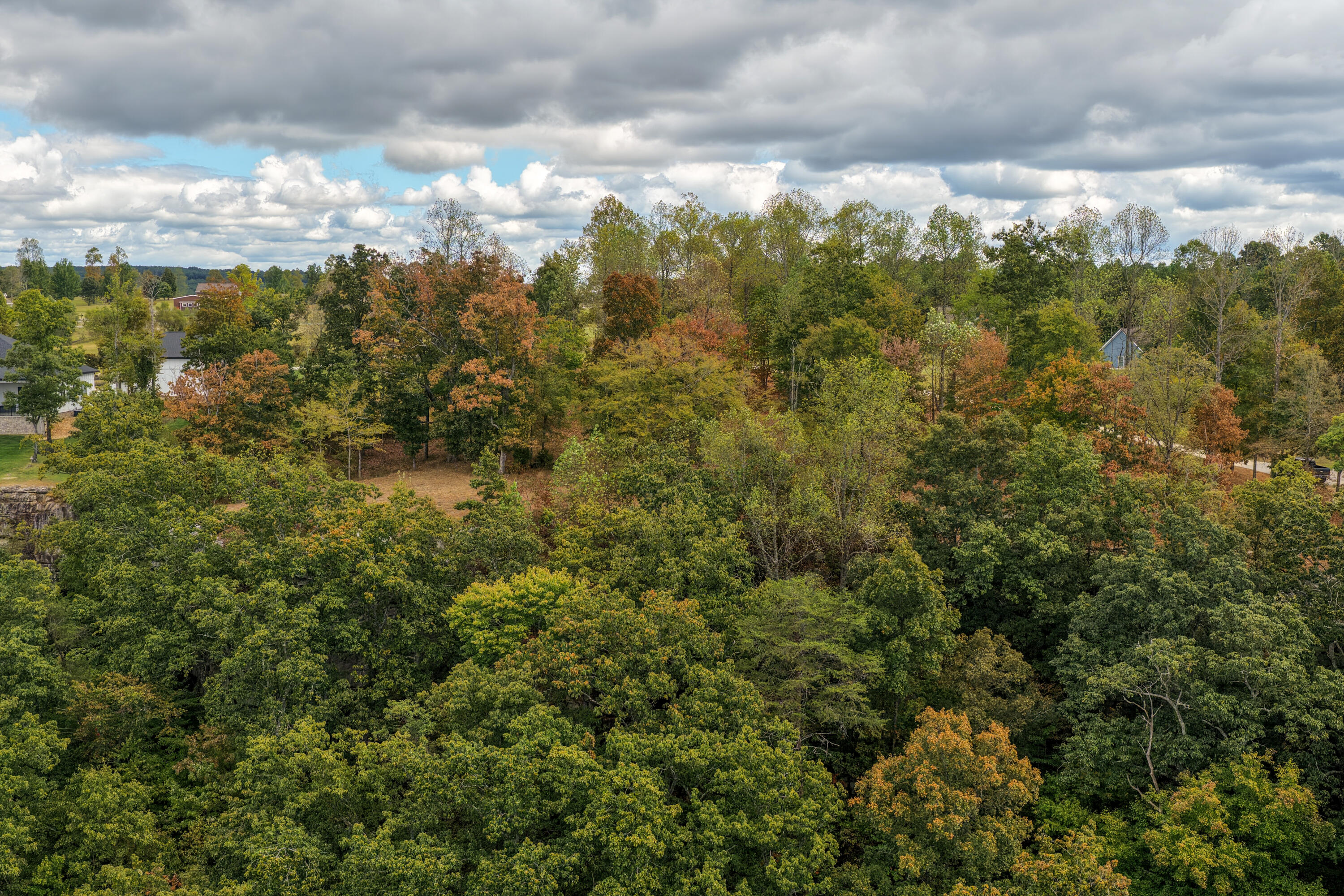 318 Sweedens Overlook Property Photo 30