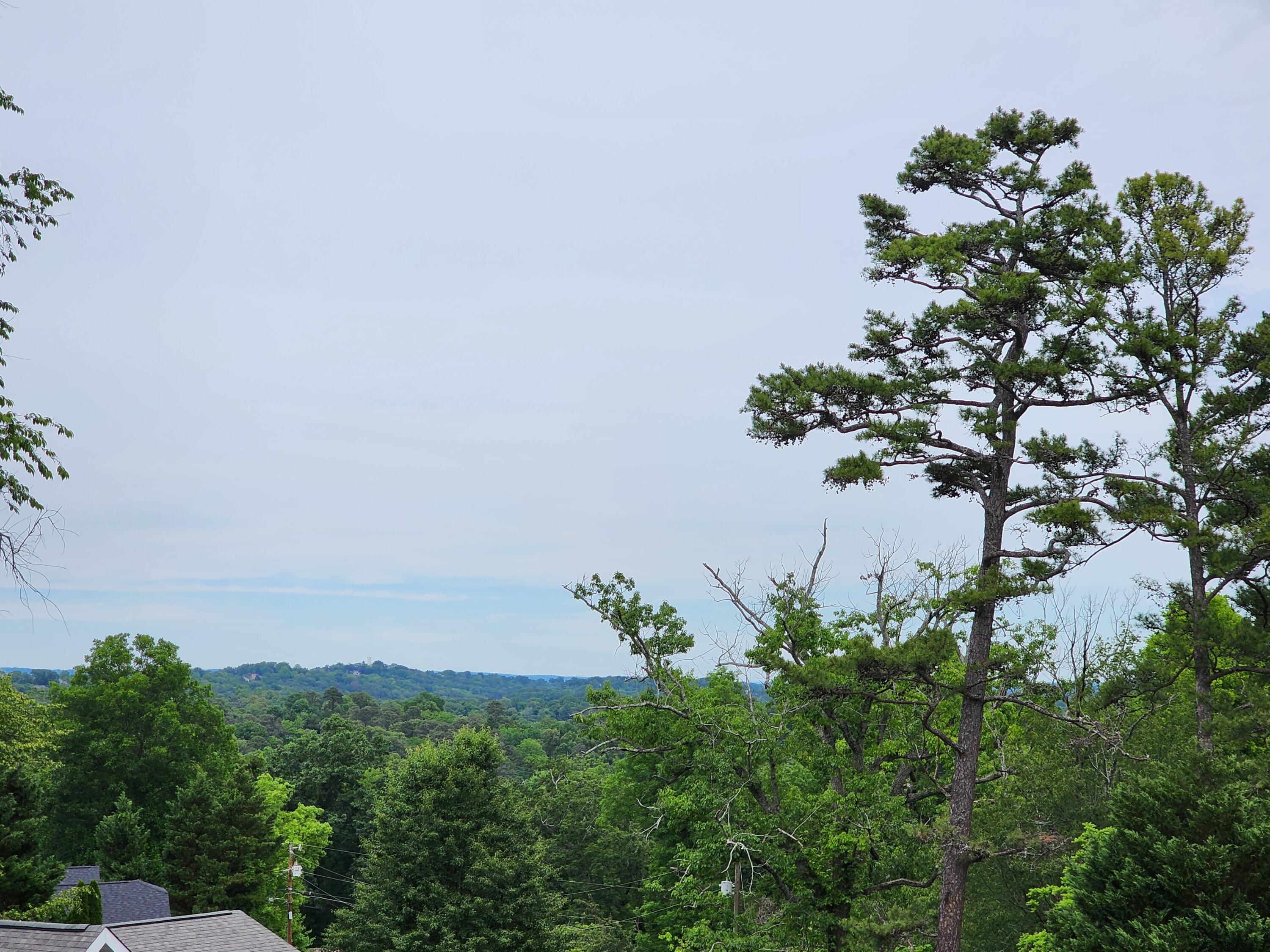 317 Signal Drive Property Photo 40