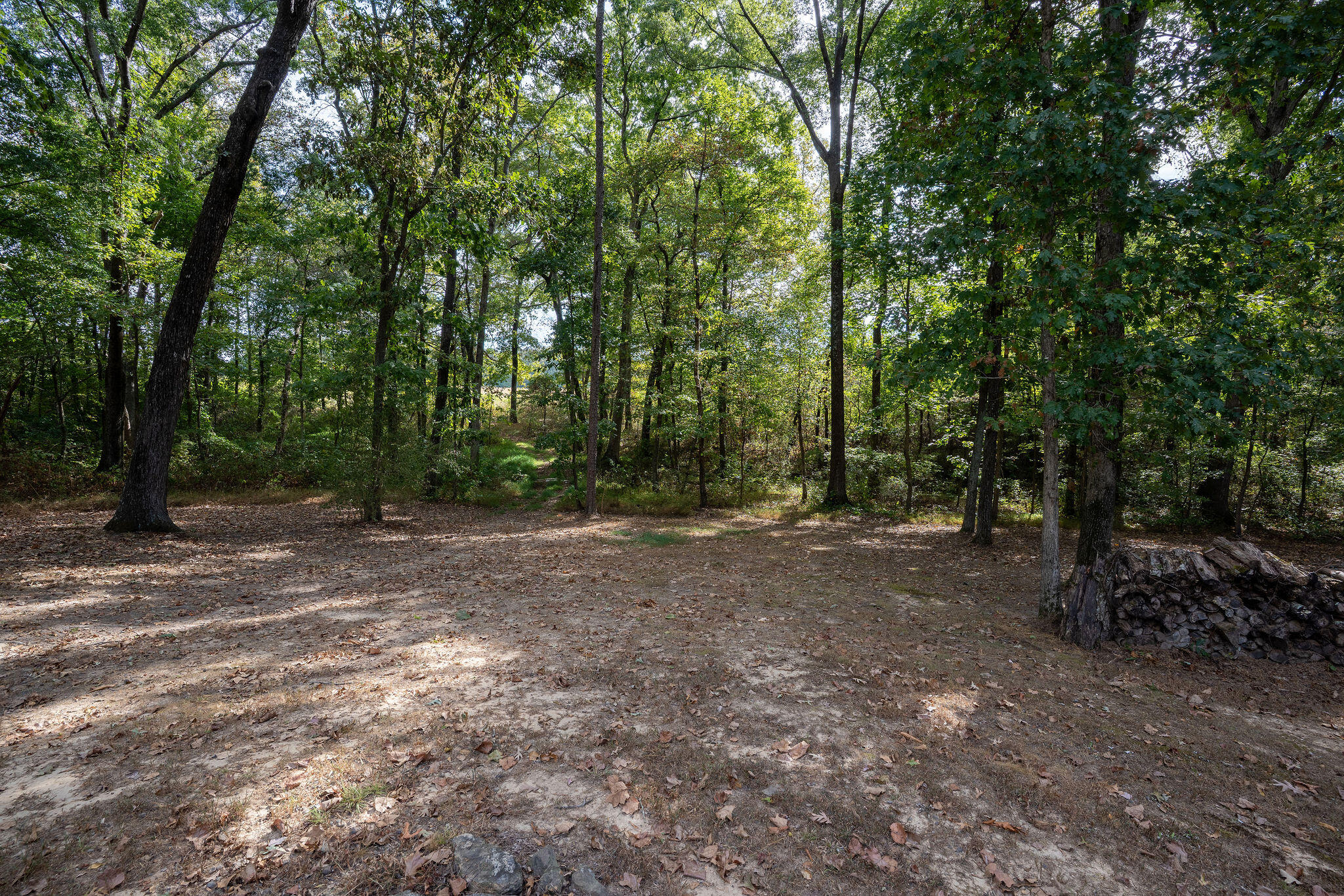 2323 County Road 131 Property Photo 3