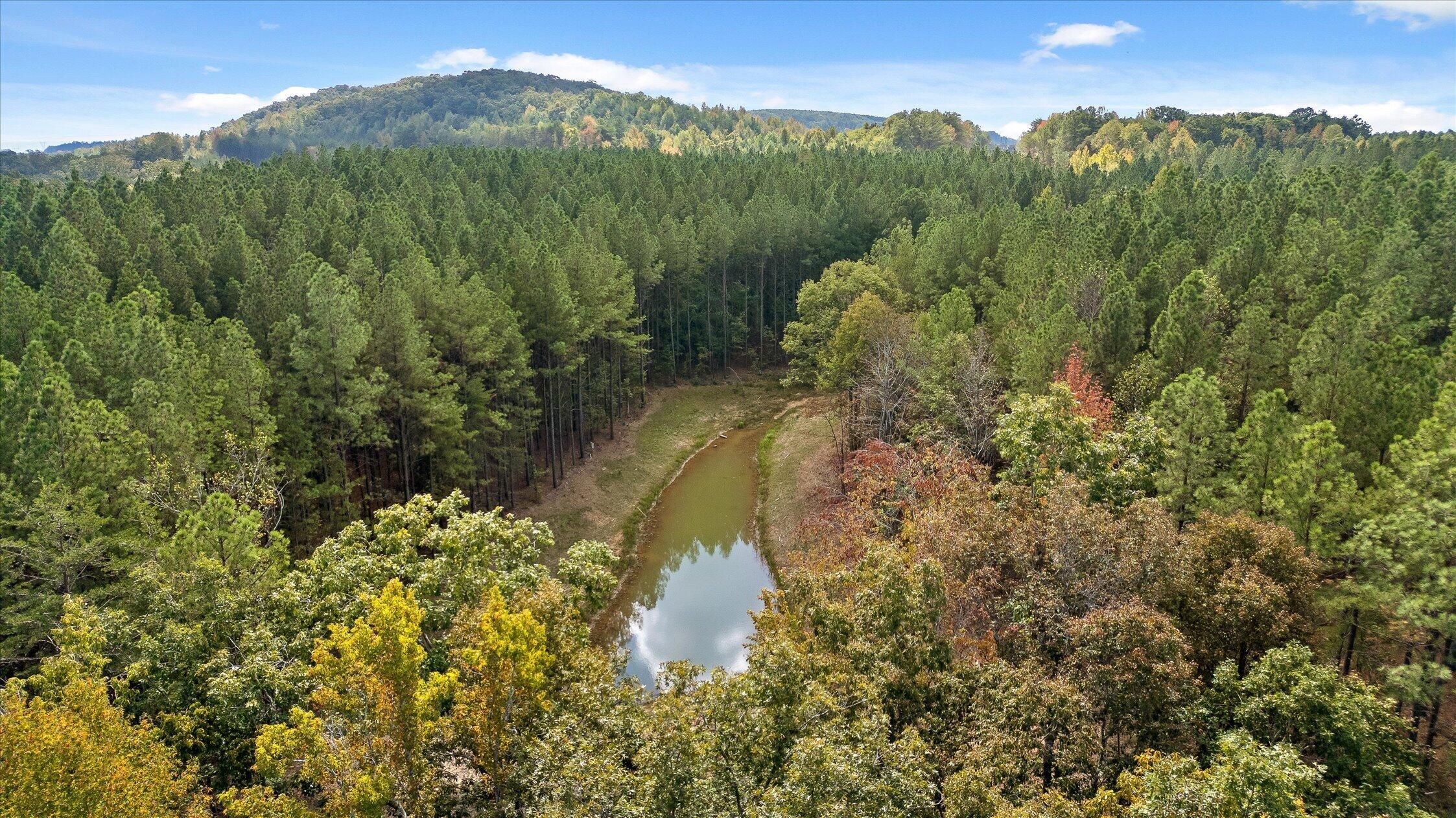 5370 River Bend Road Property Photo 9