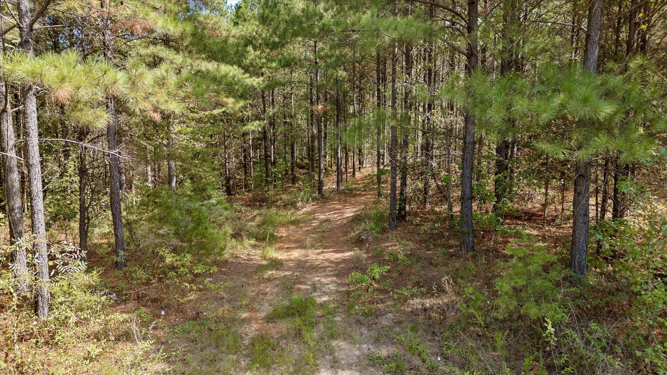 5370 River Bend Road Property Photo 11