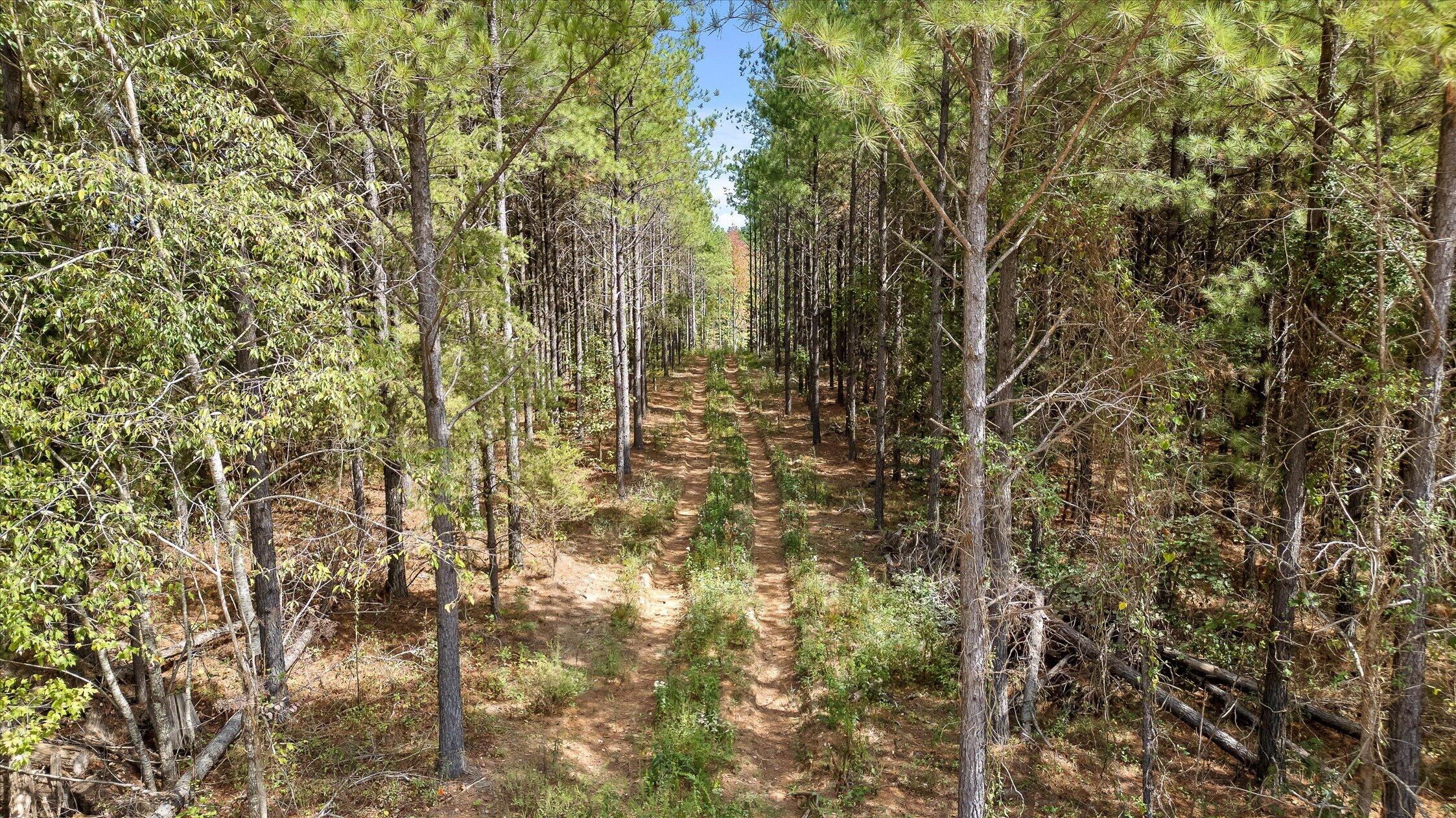 5370 River Bend Road Property Photo 12