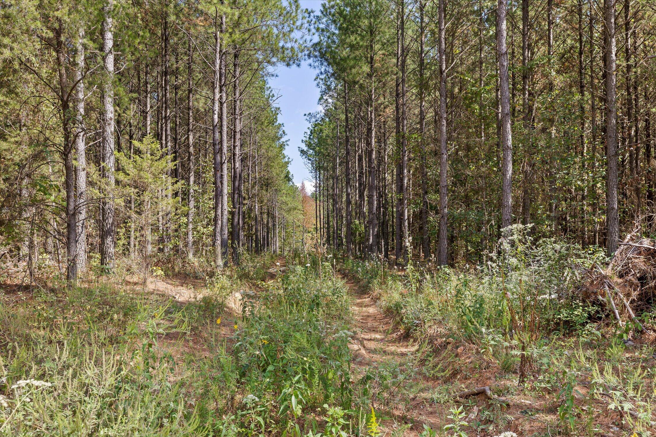 5370 River Bend Road Property Photo 16
