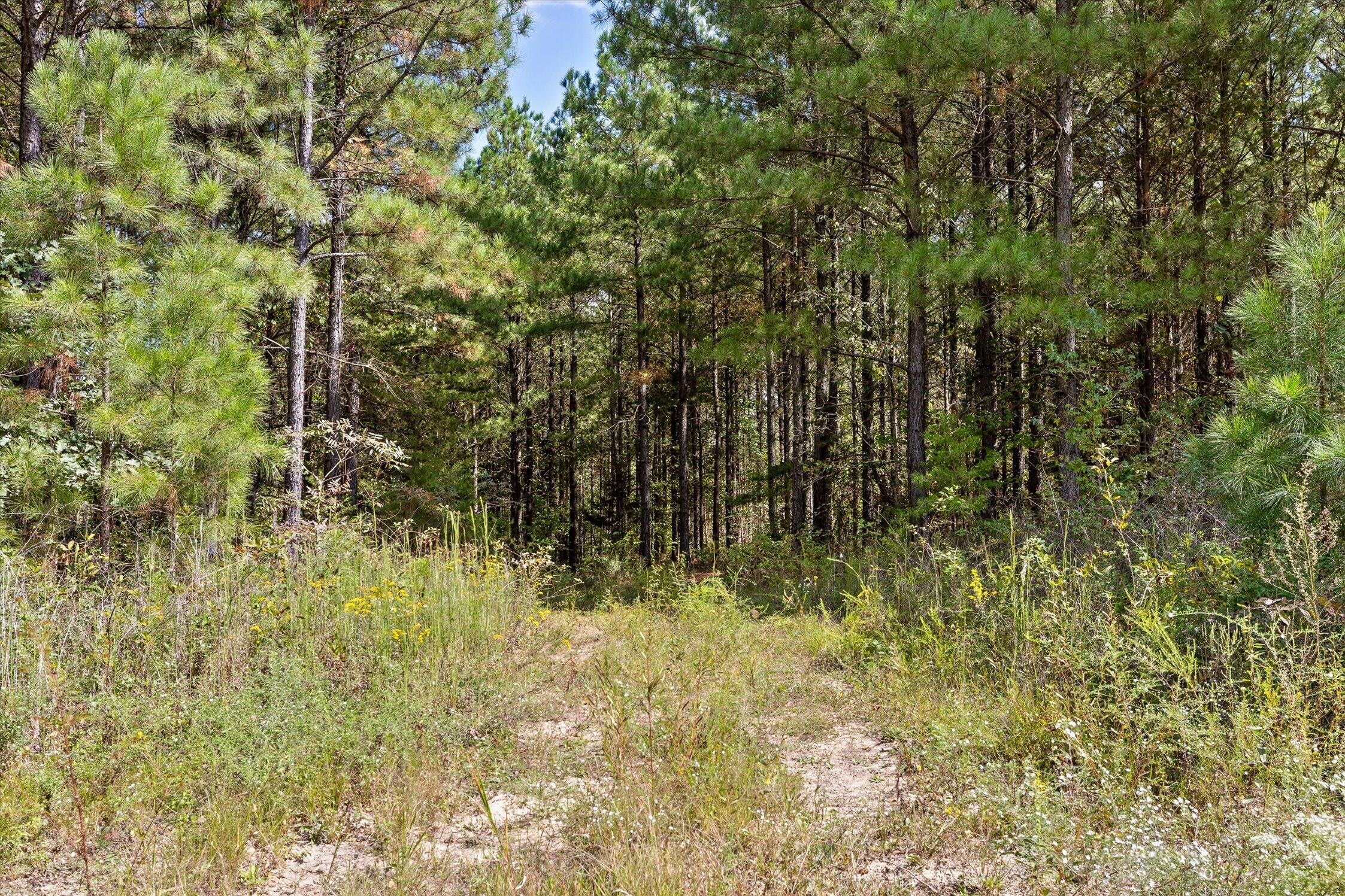 5370 River Bend Road Property Photo 18