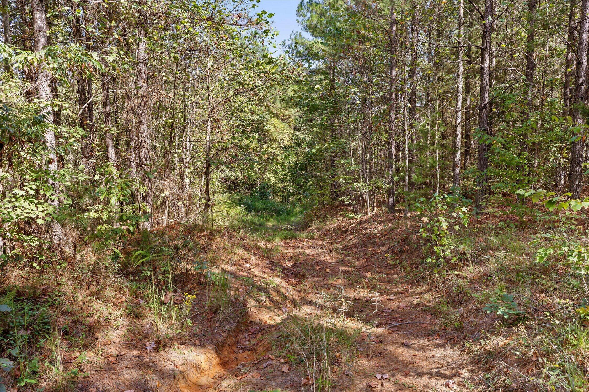 5370 River Bend Road Property Photo 19