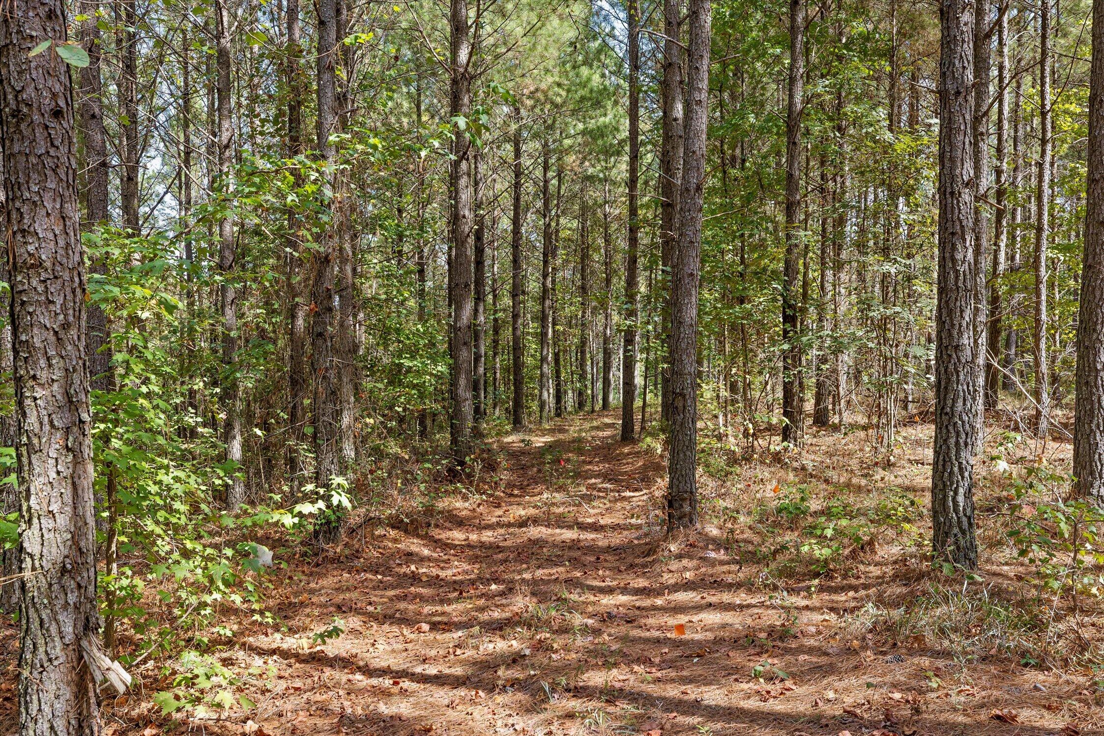 5370 River Bend Road Property Photo 20
