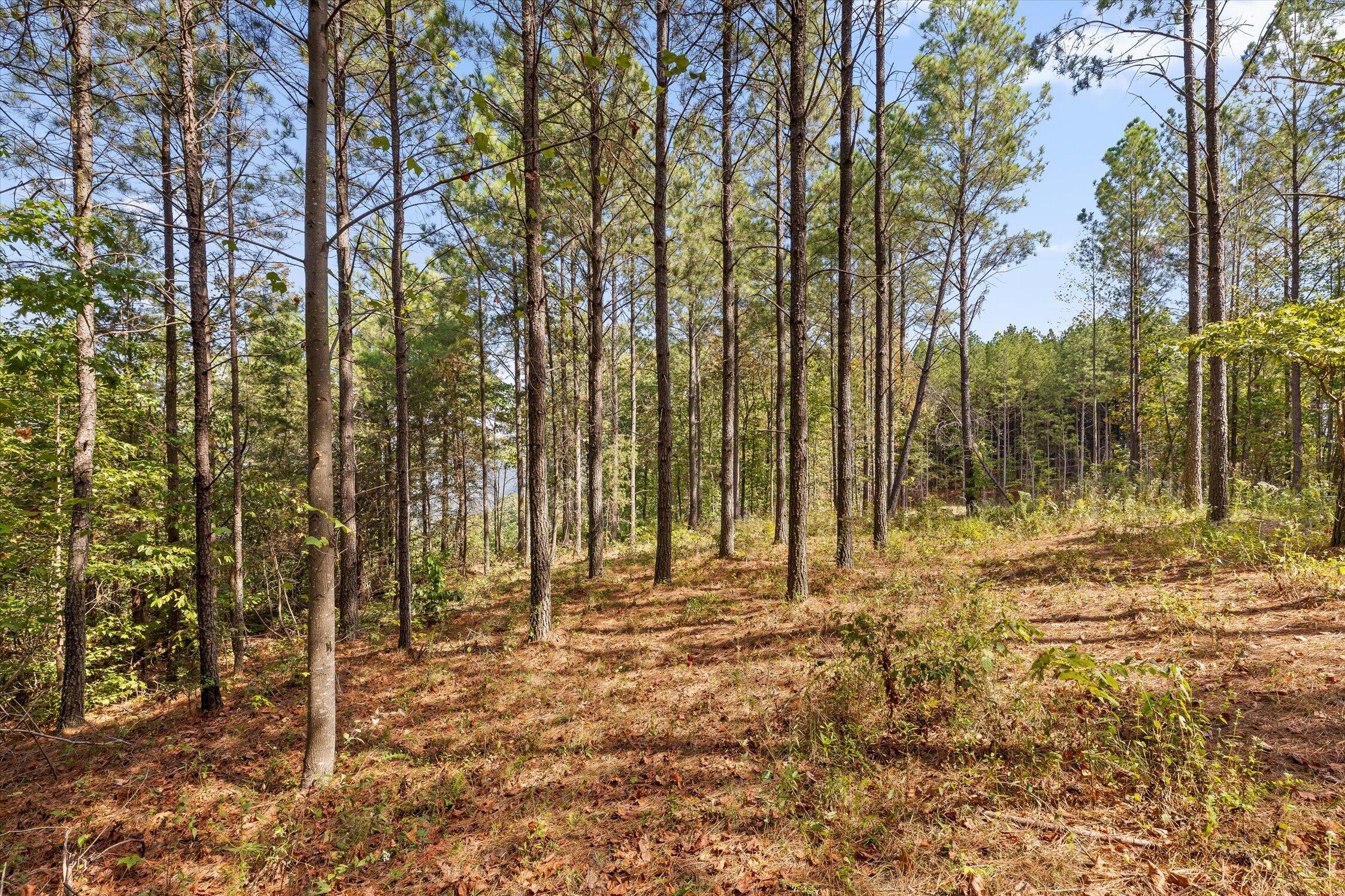 5370 River Bend Road Property Photo 21