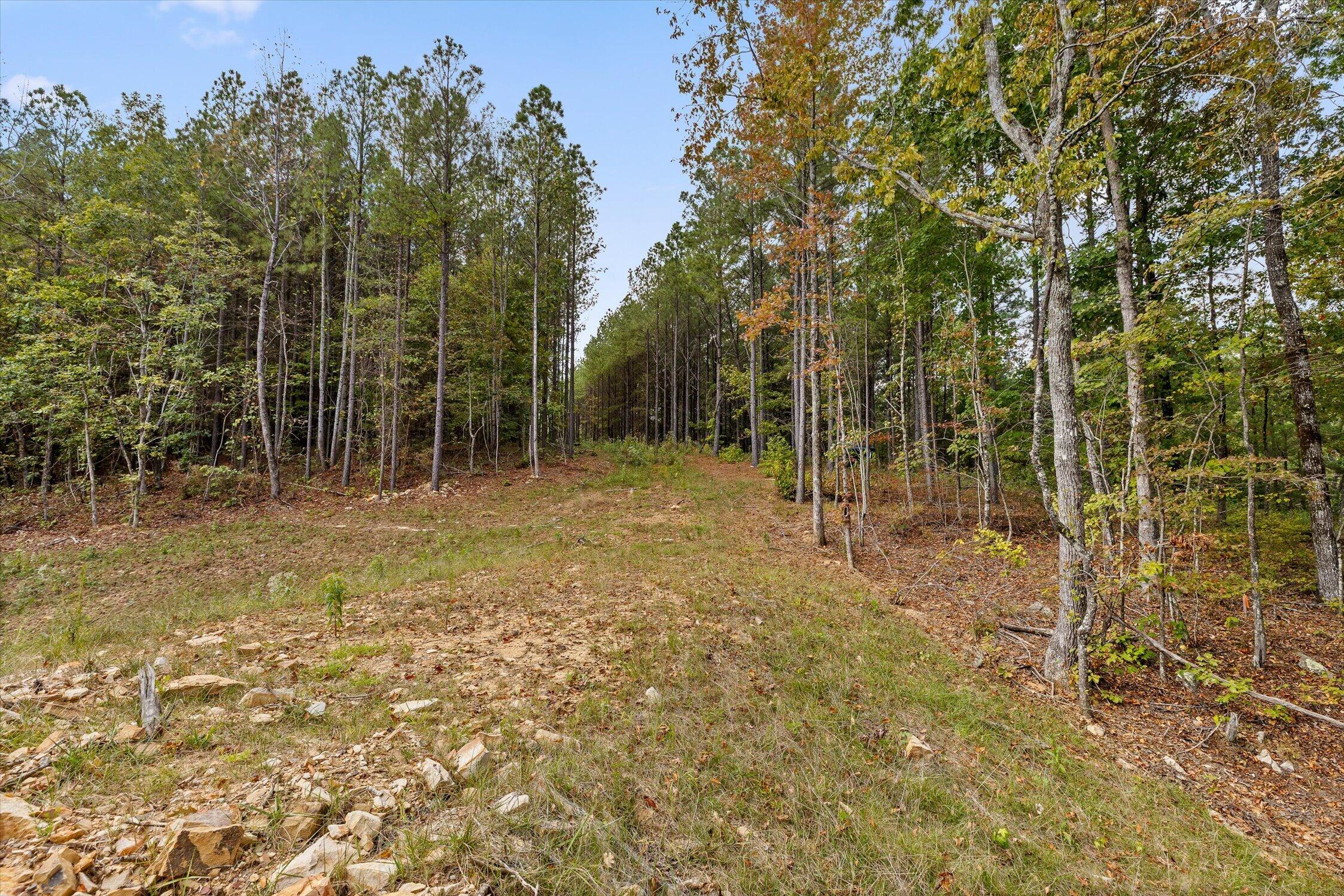 5370 River Bend Road Property Photo 27