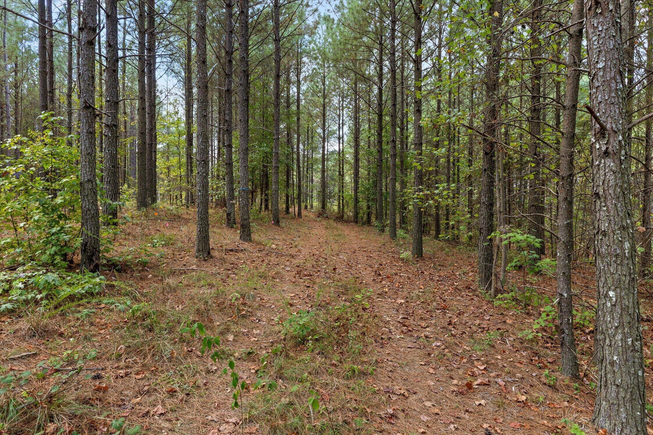 5370 River Bend Road Property Photo 28
