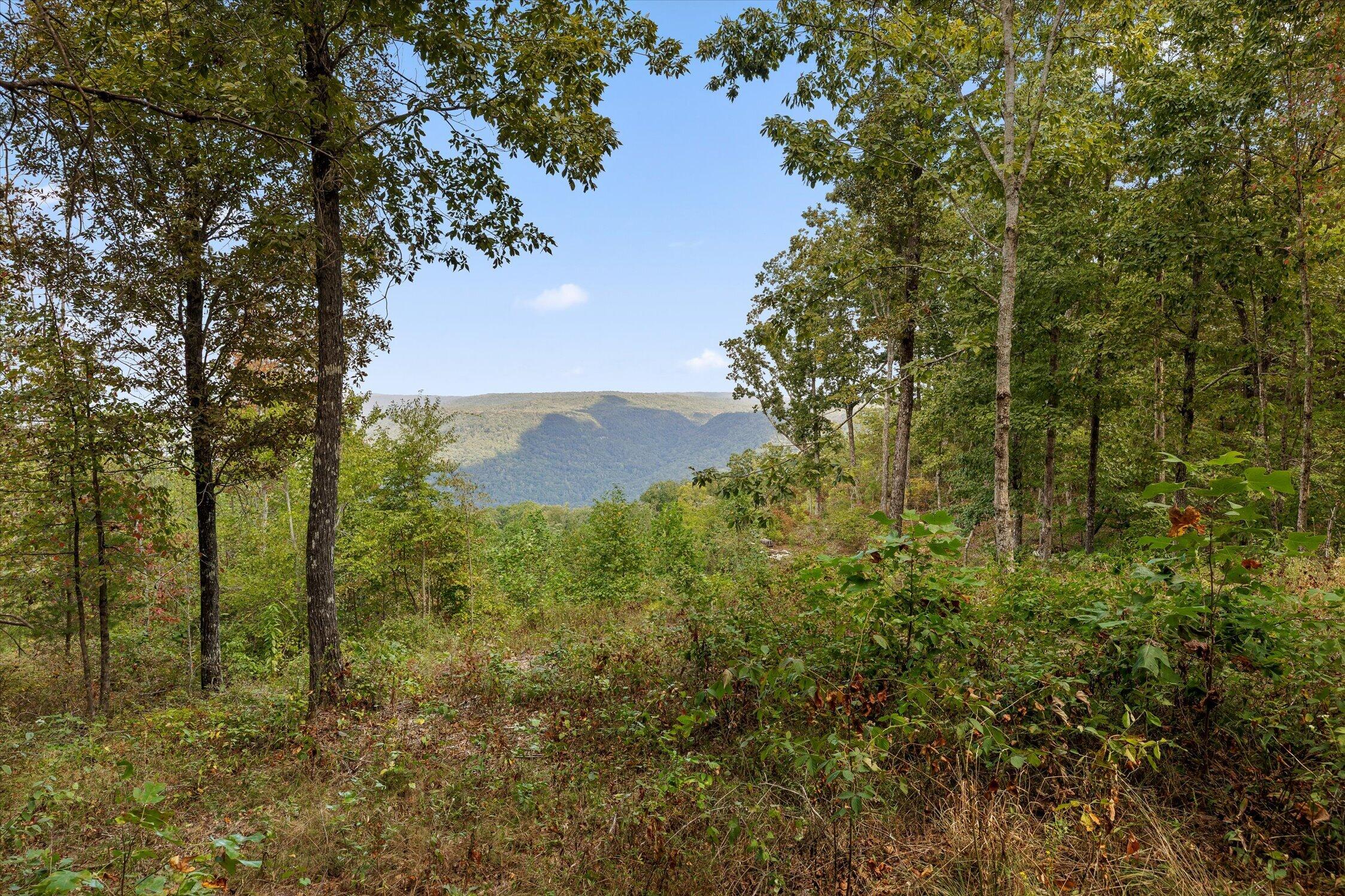 5370 River Bend Road Property Photo 31