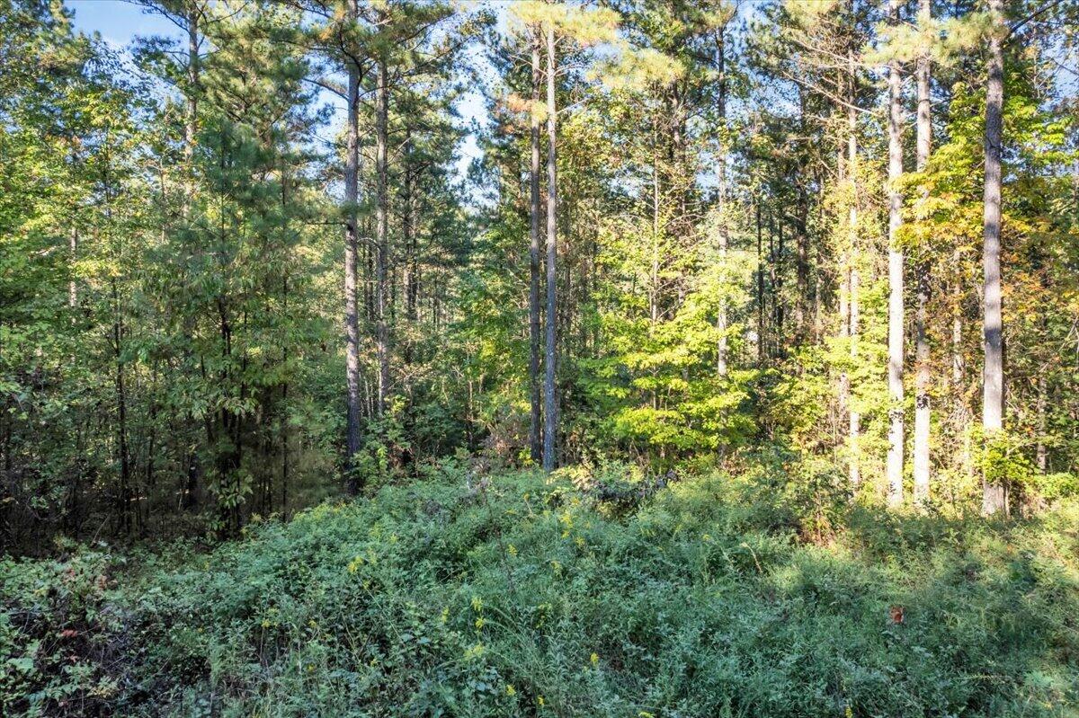 0 Birds Eye Way Property Photo 5