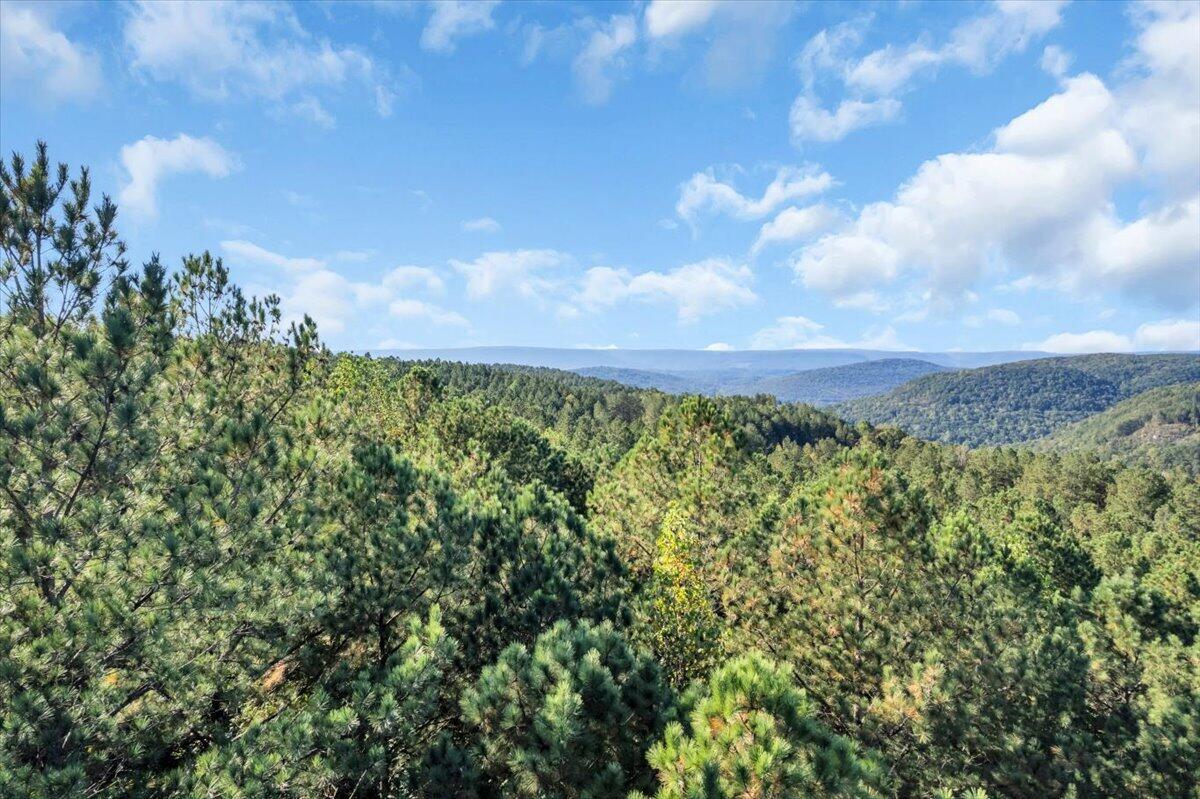 0 Birds Eye Way Property Photo 6