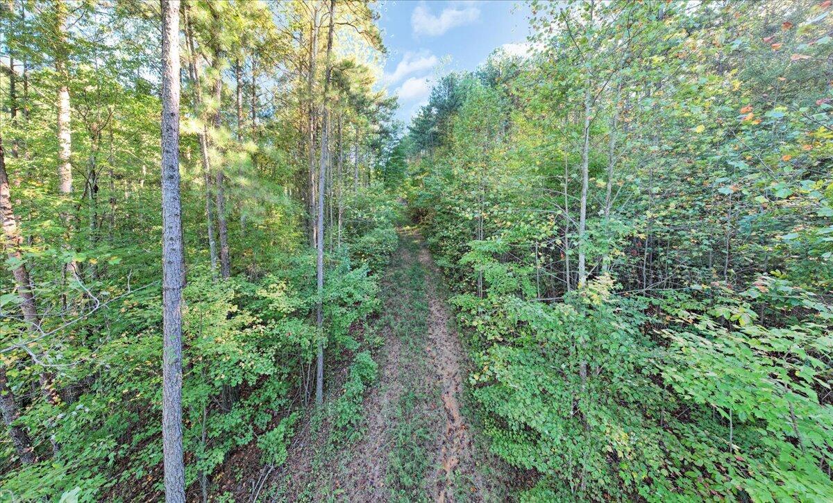 0 Birds Eye Way Property Photo 10