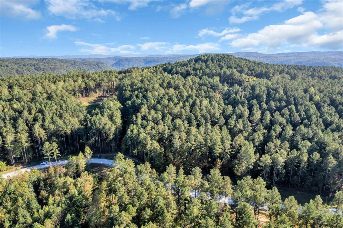 0 Birds Eye Way Property Photo 17