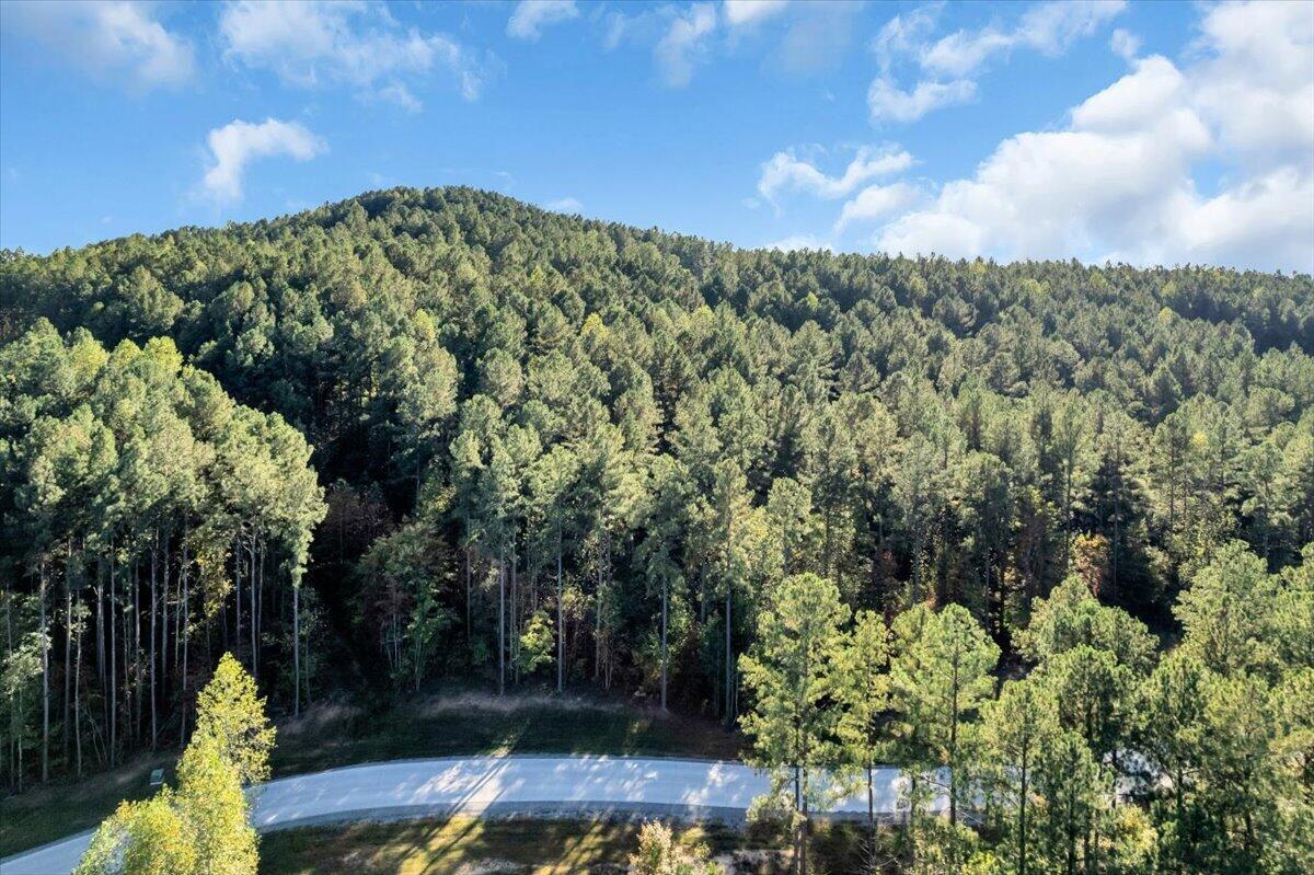 0 Birds Eye Way Property Photo 18