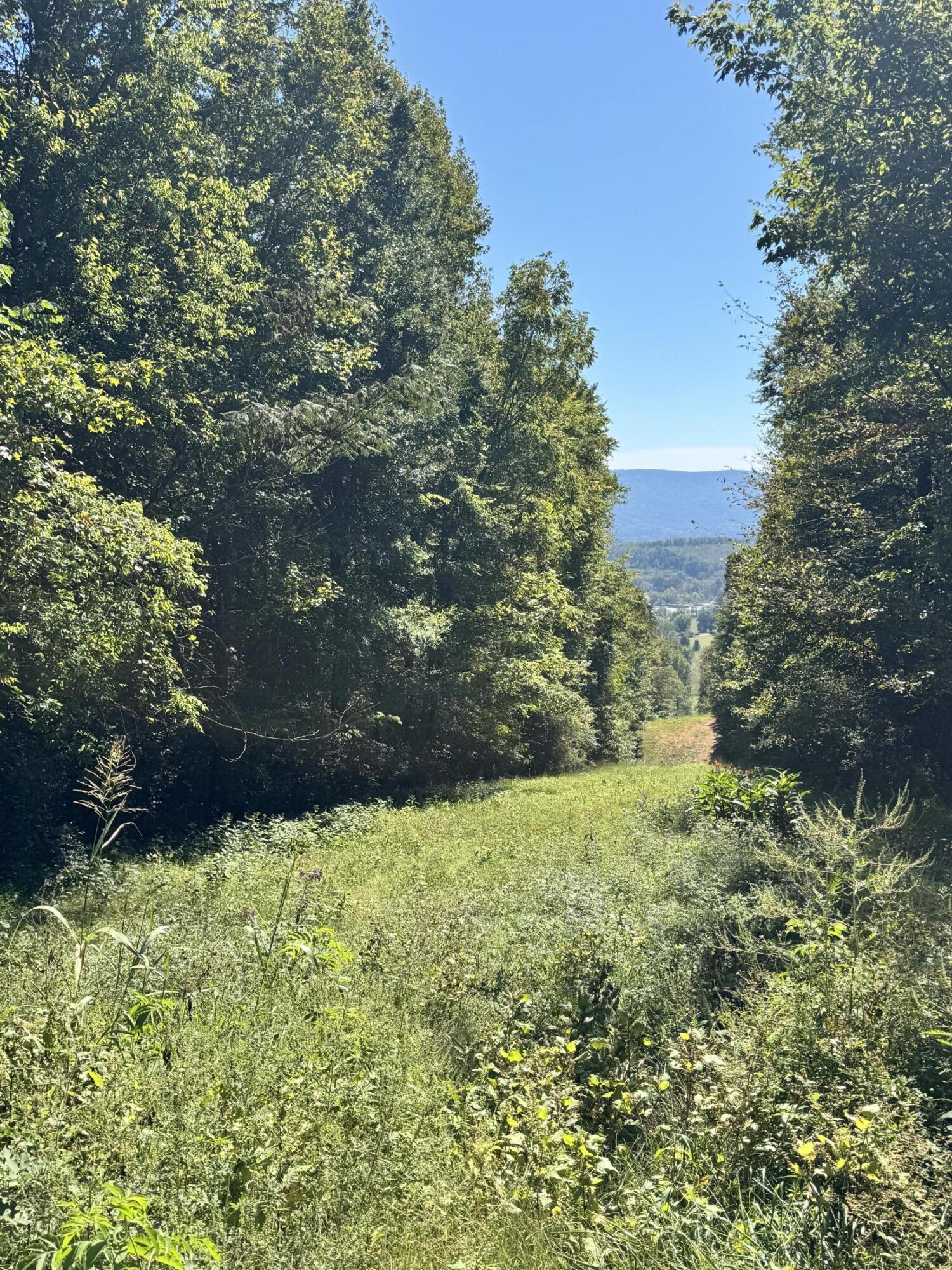 00 Mountain View Drive Property Photo 1