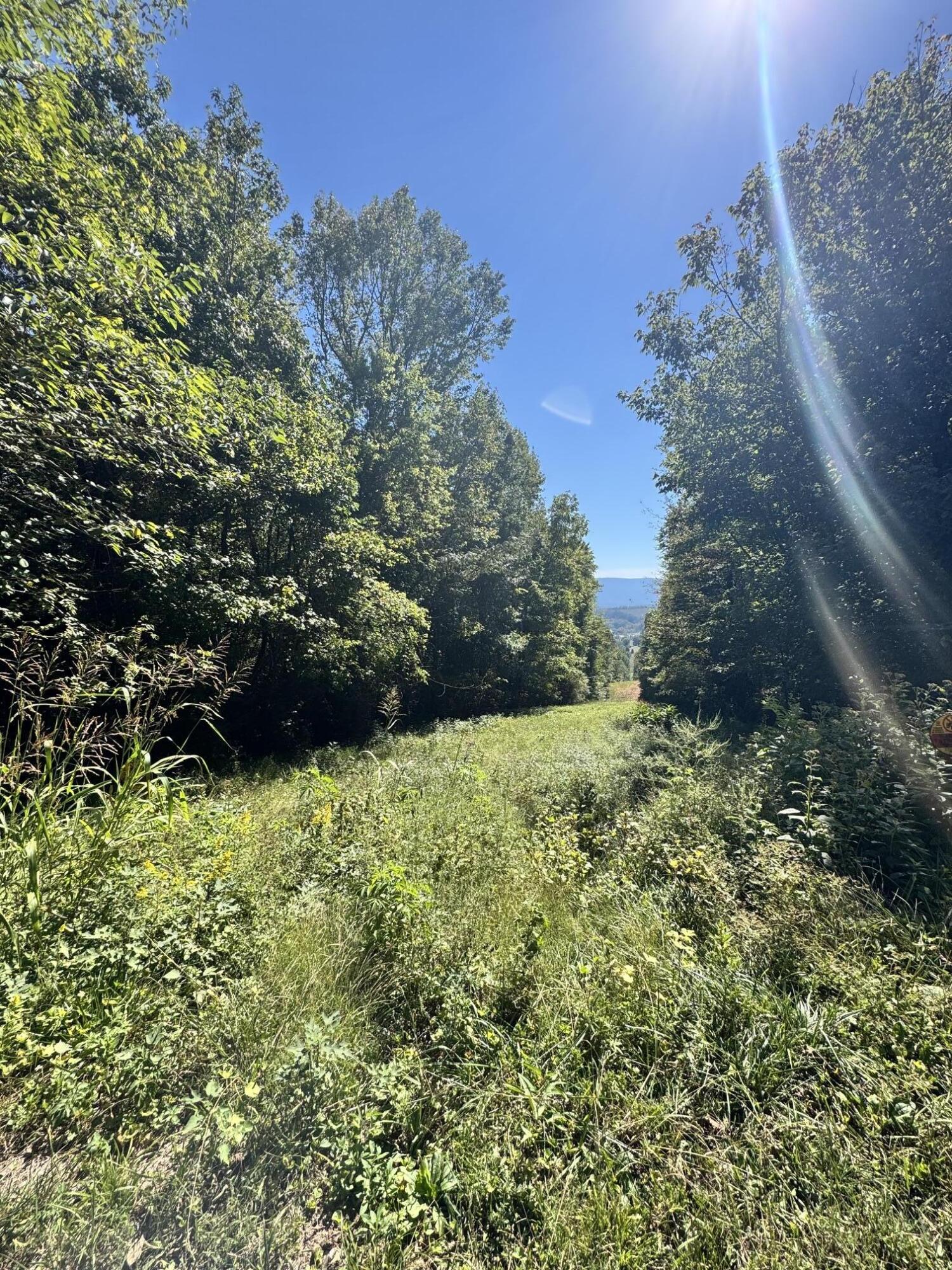 00 Mountain View Drive Property Photo 2