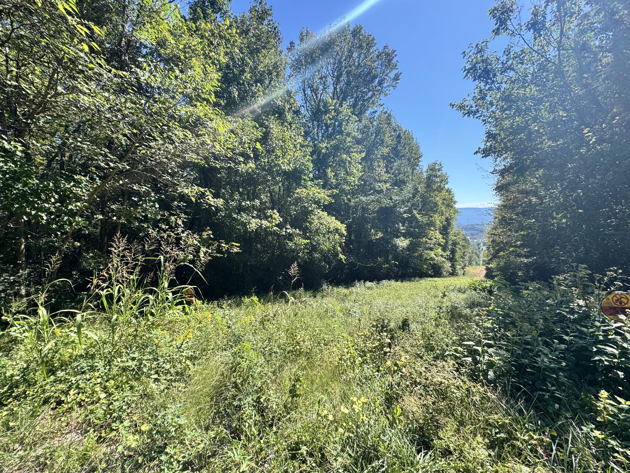 00 Mountain View Drive Property Photo 3