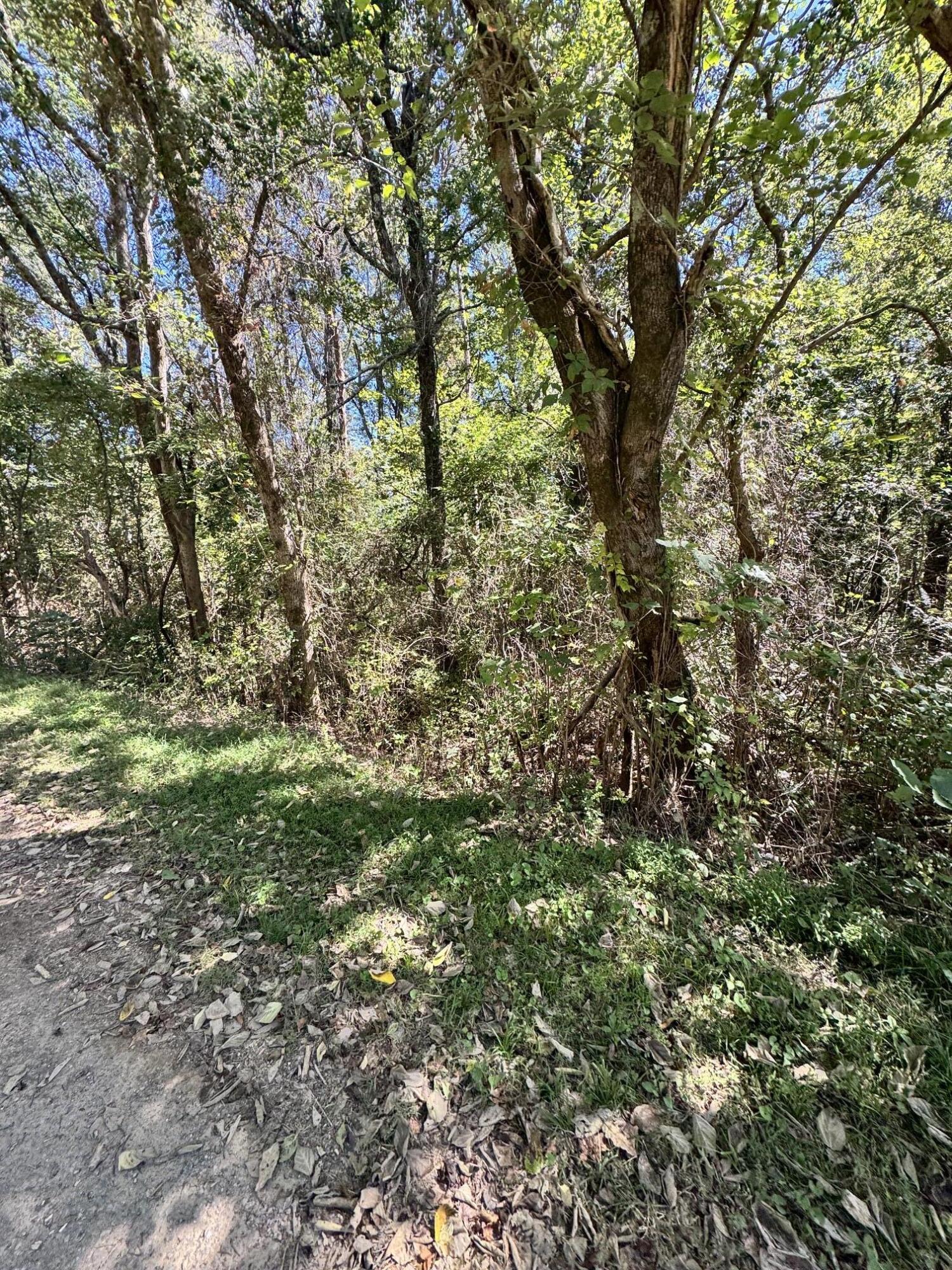 00 Mountain View Drive Property Photo 4
