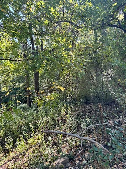 00 Mountain View Drive Property Photo 7