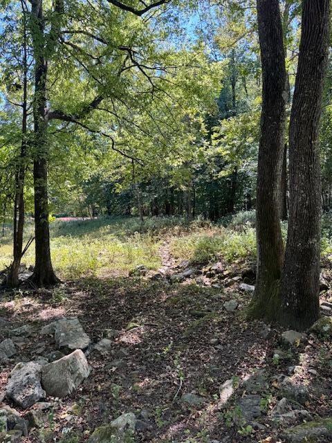 00 Mountain View Drive Property Photo 10