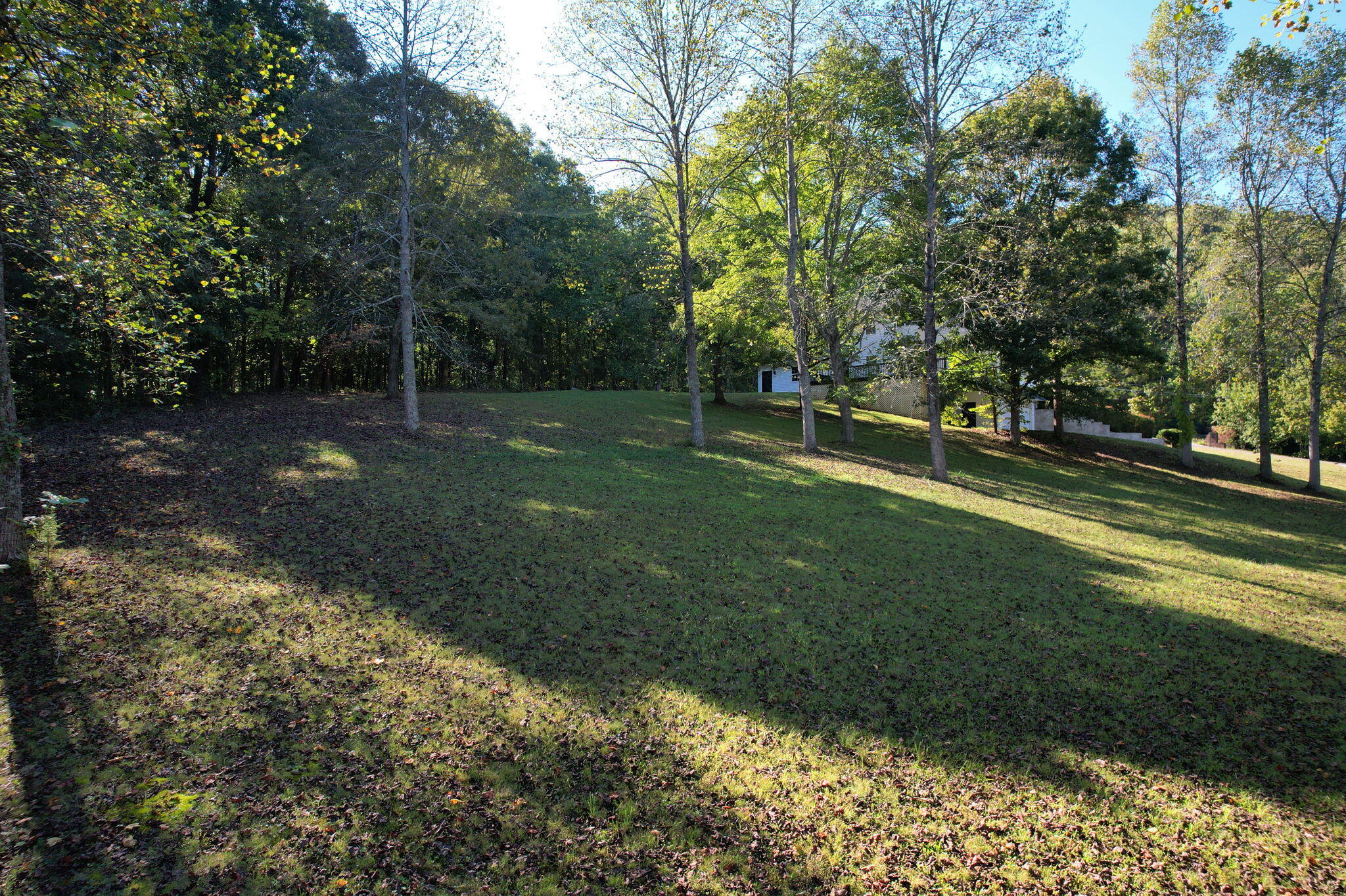 195 Knobb Hill Drive Nw Property Photo 12
