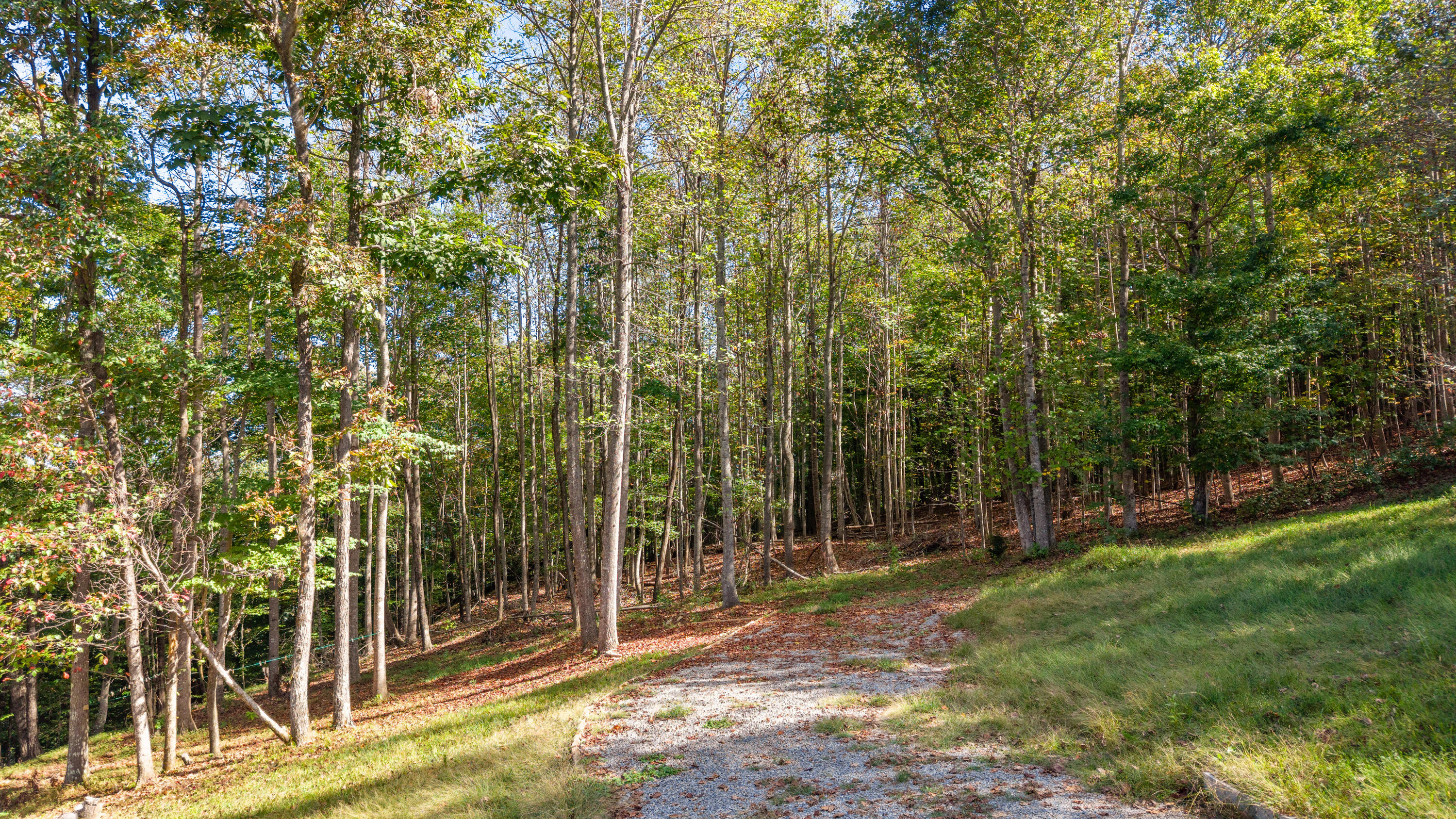 690 Preservation Drive Property Photo 46