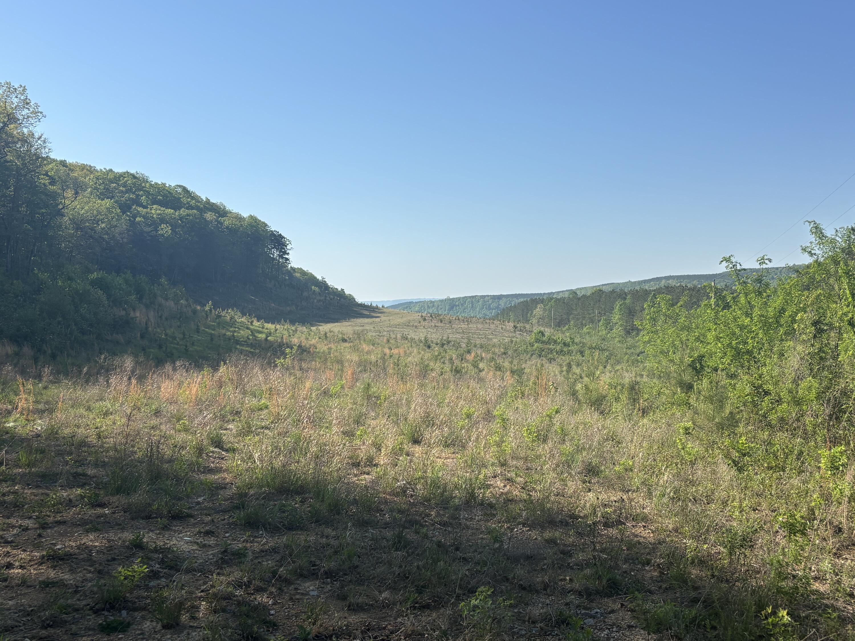866 Bowater Rd Road Property Photo 4