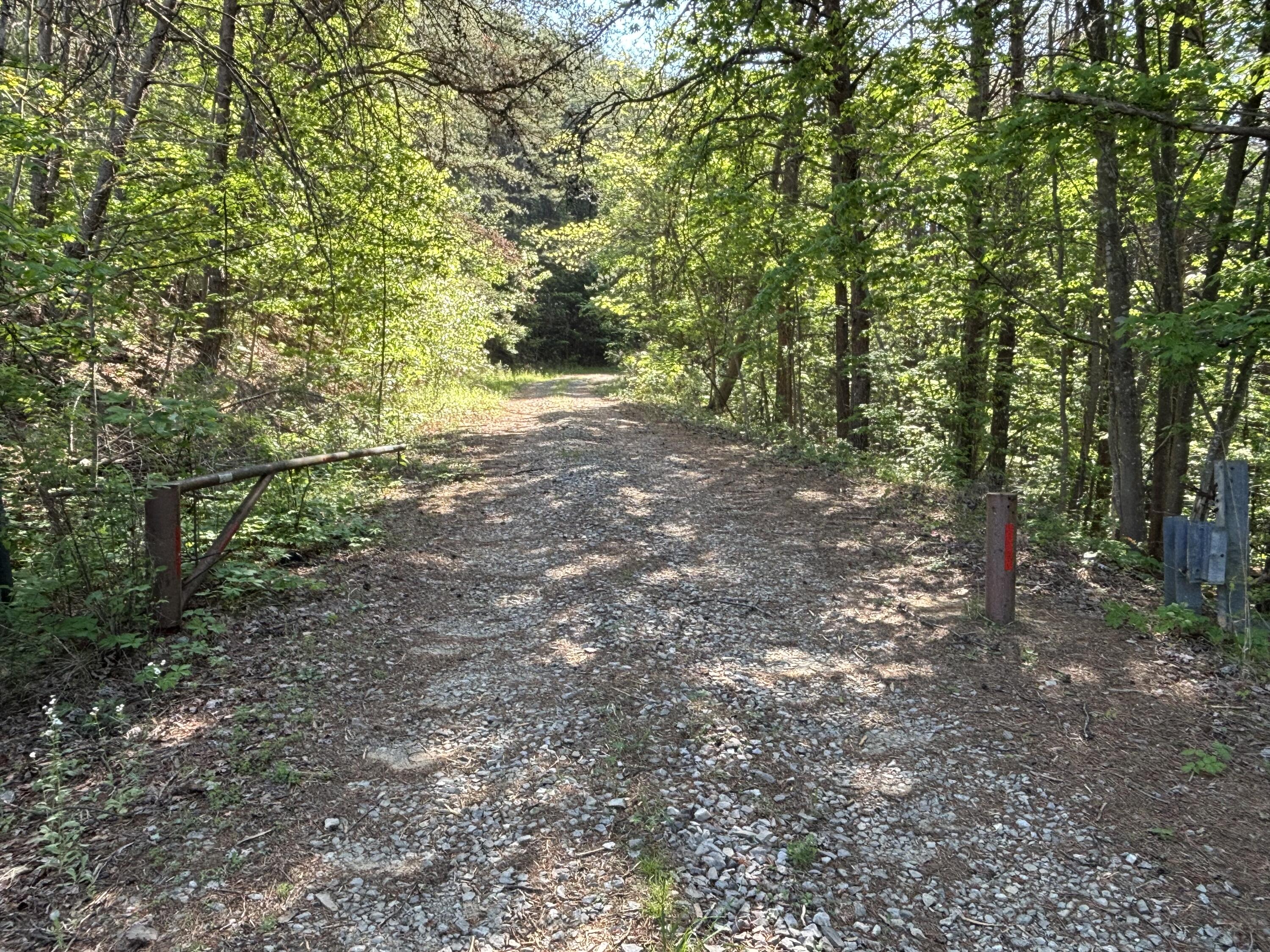 866 Bowater Rd Road Property Photo 8