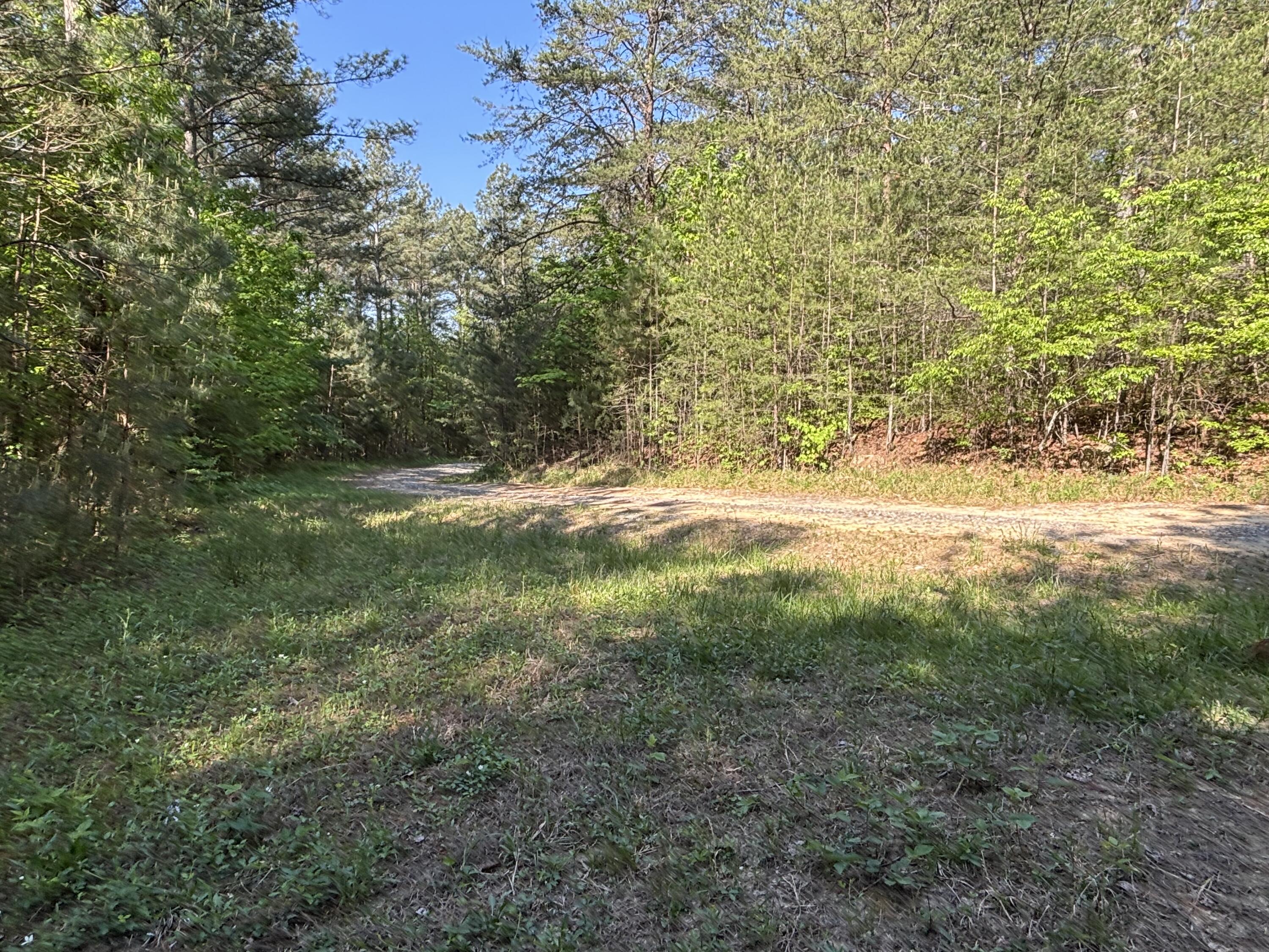866 Bowater Rd Road Property Photo 10