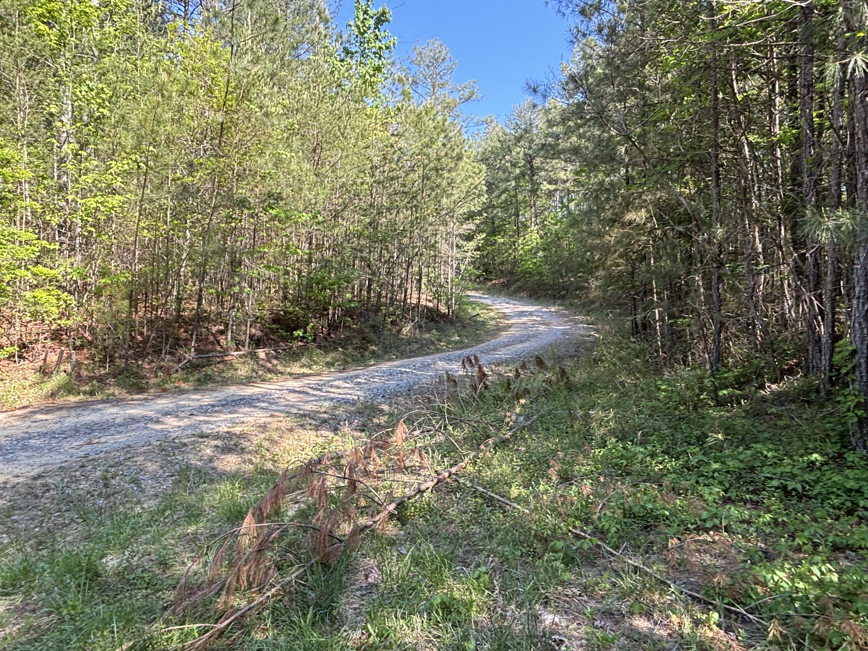 866 Bowater Rd Road Property Photo 11