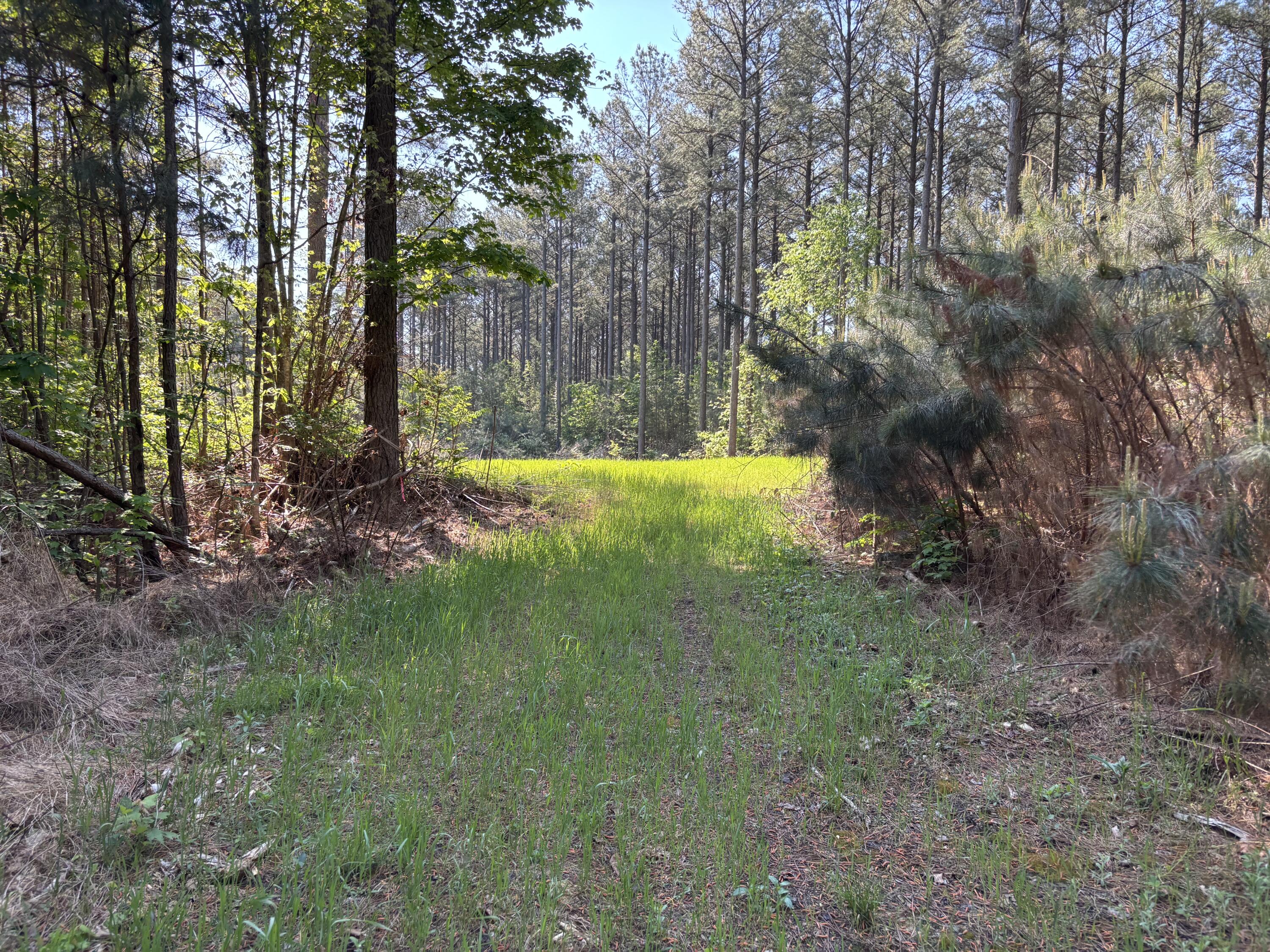 866 Bowater Rd Road Property Photo 12